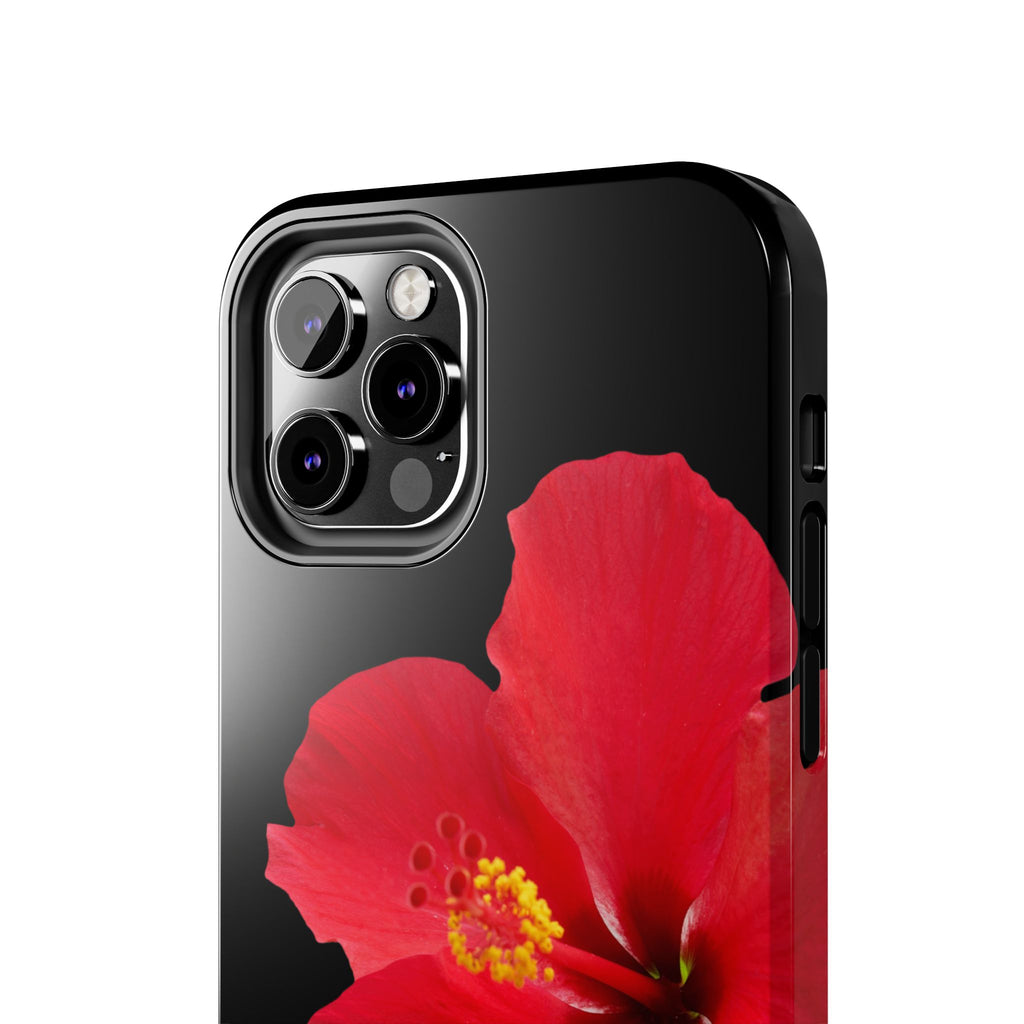 Scarlet Hibiscus