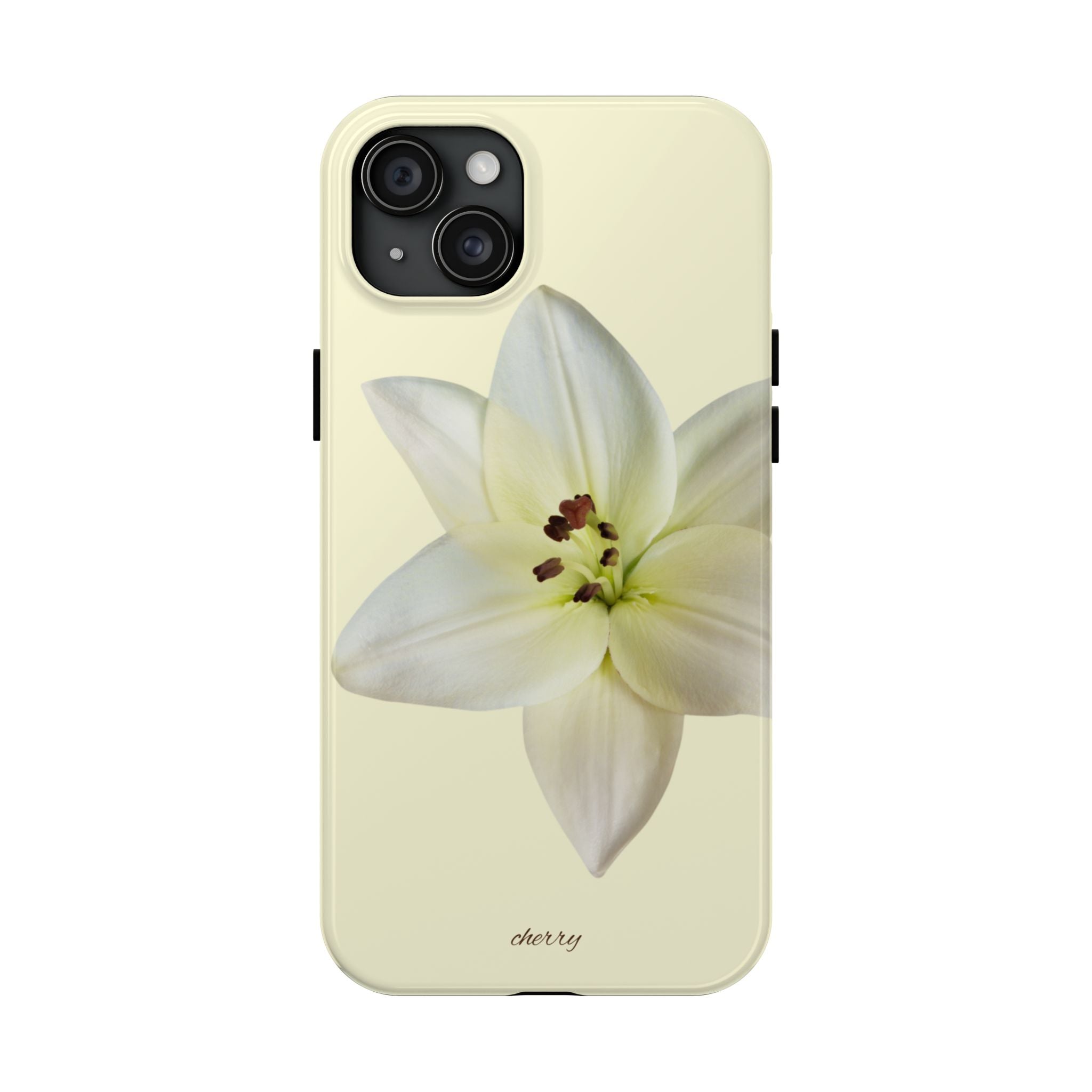 Ivory Lily