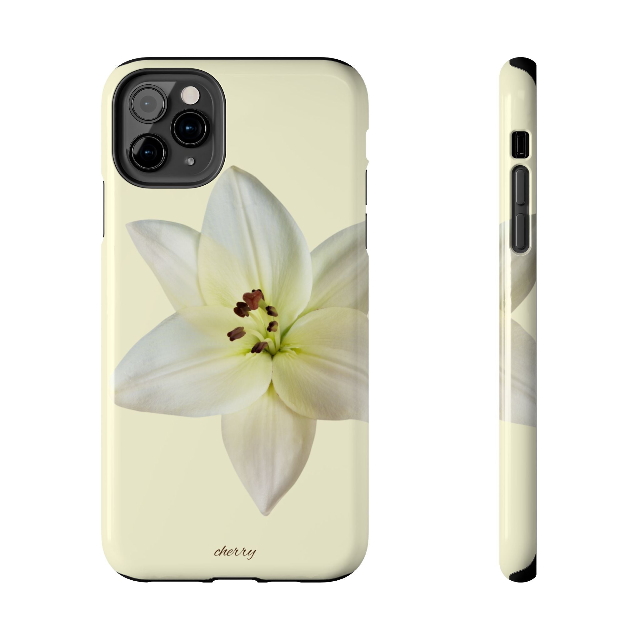 Ivory Lily