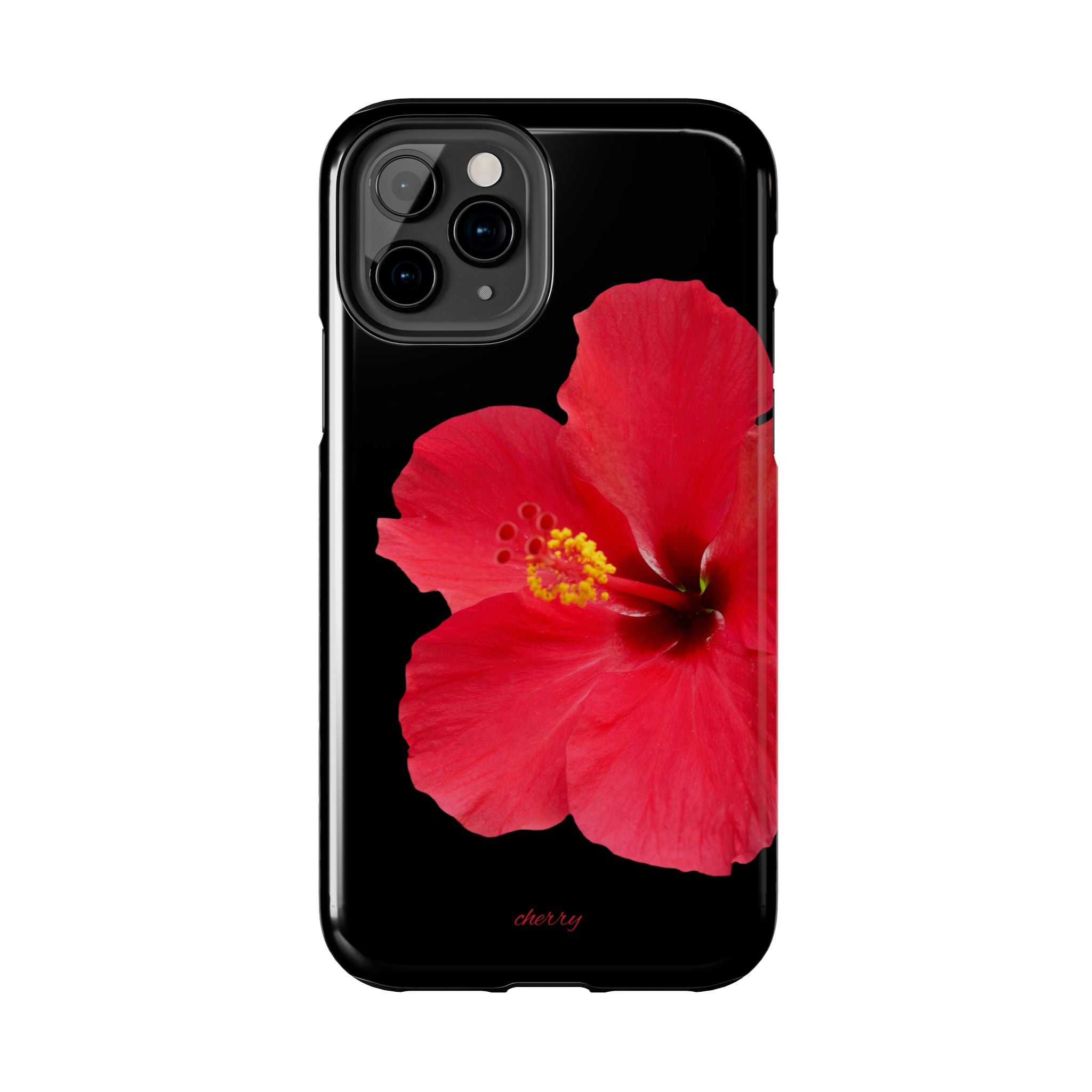 Scarlet Hibiscus