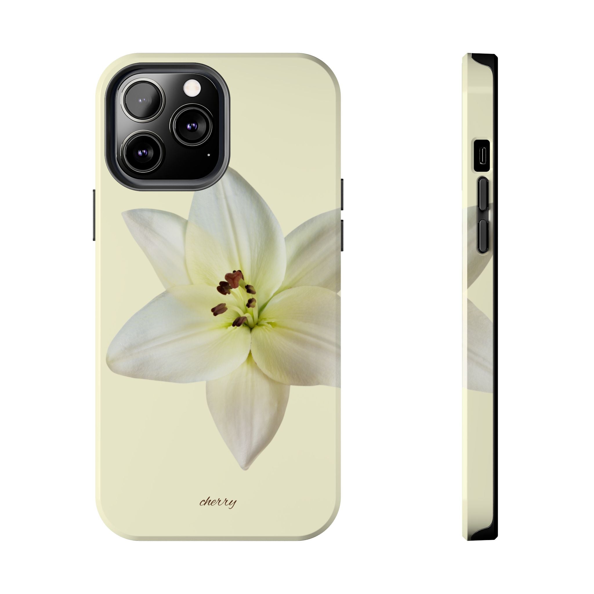 Ivory Lily