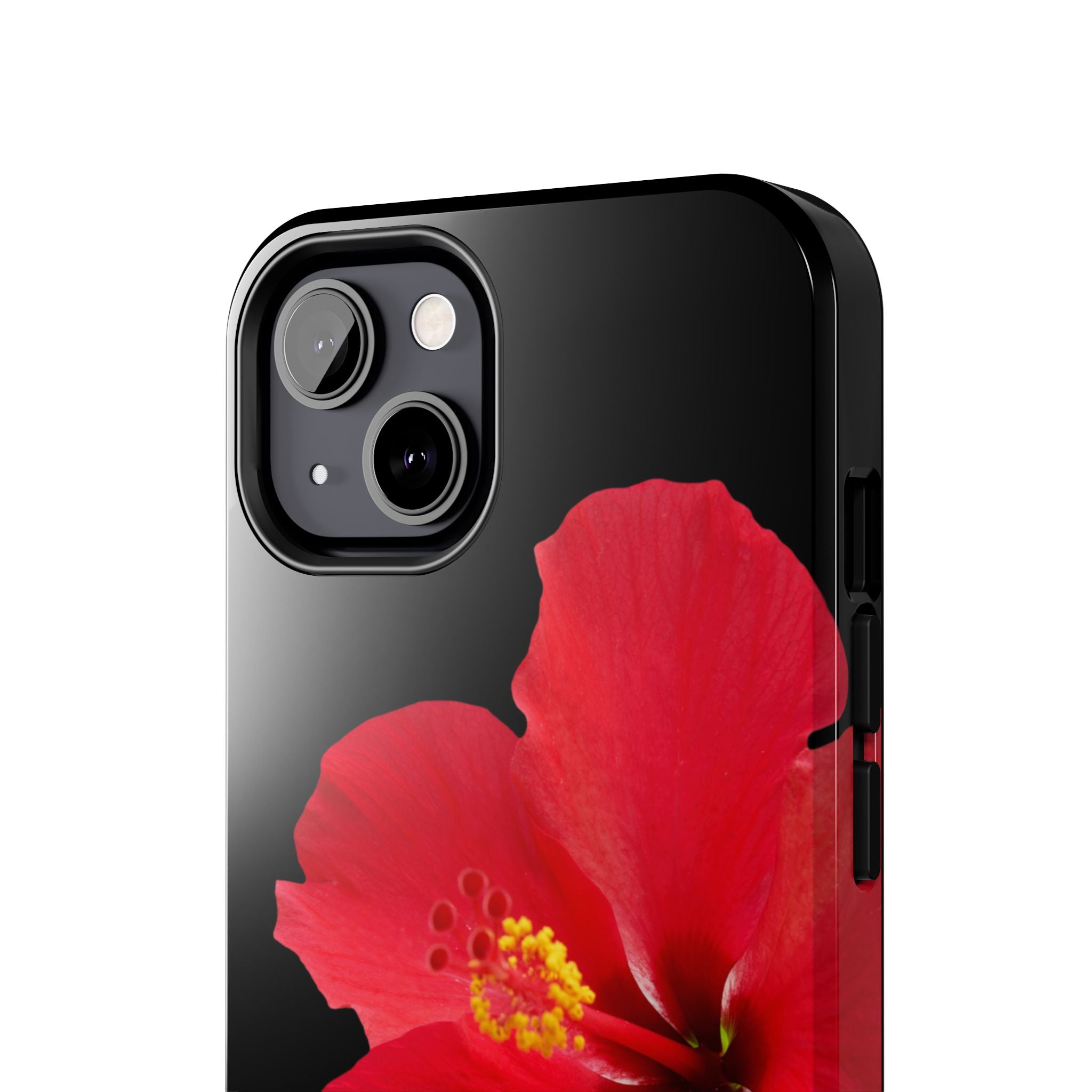 Scarlet Hibiscus