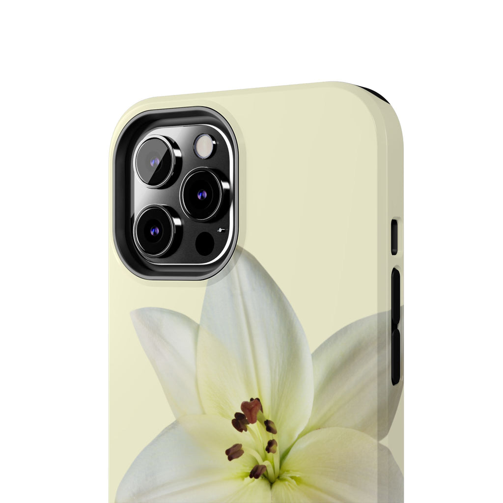 Ivory Lily