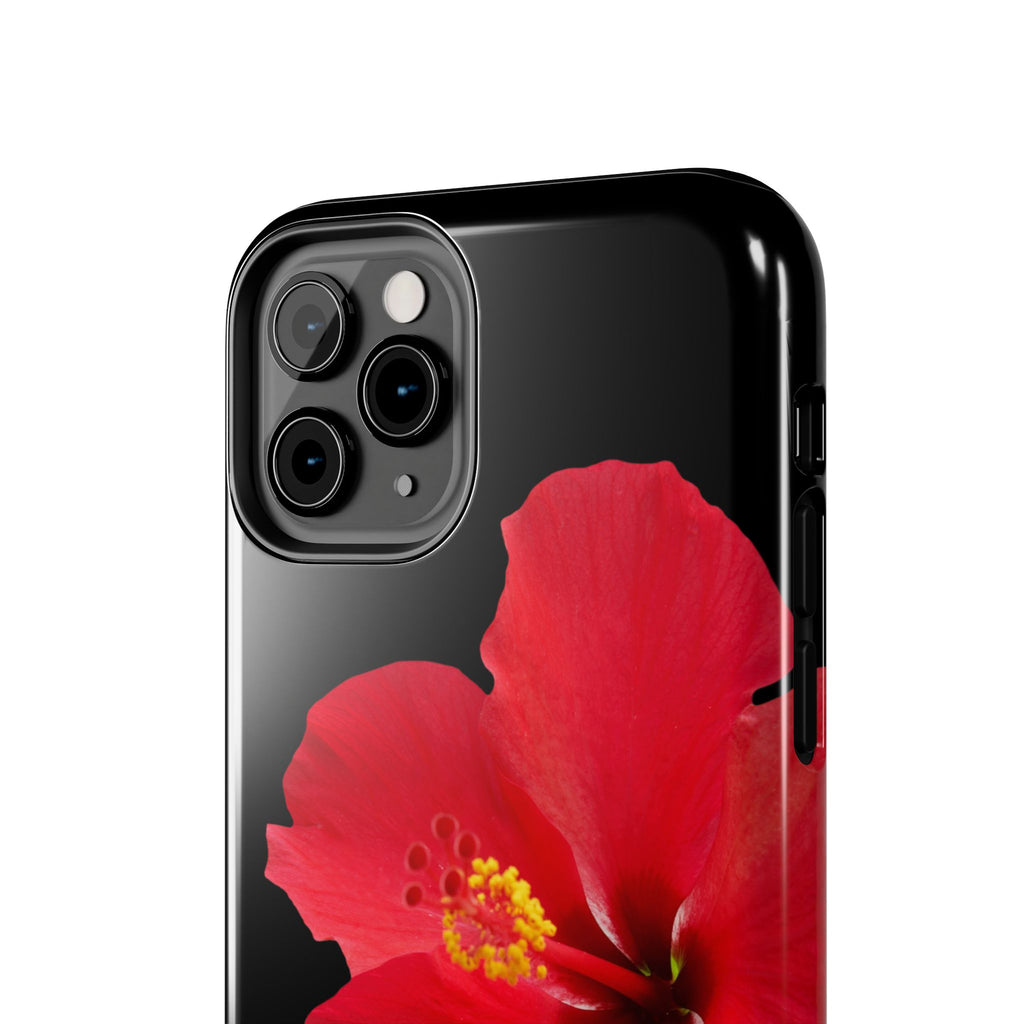 Scarlet Hibiscus