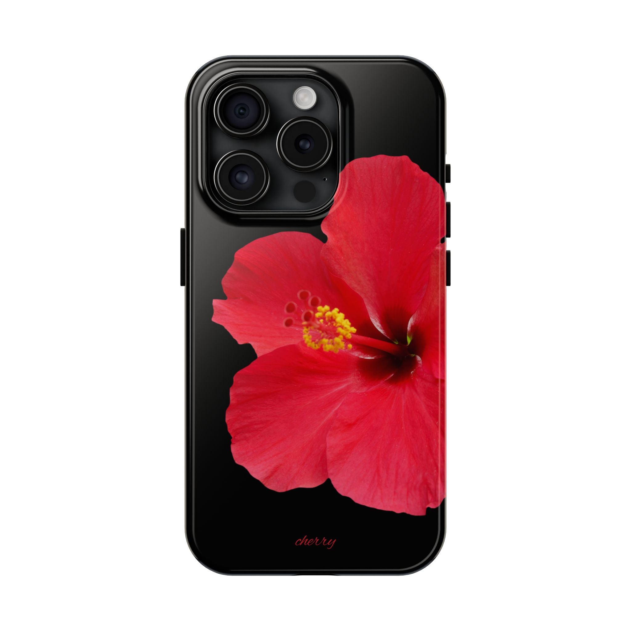 Scarlet Hibiscus