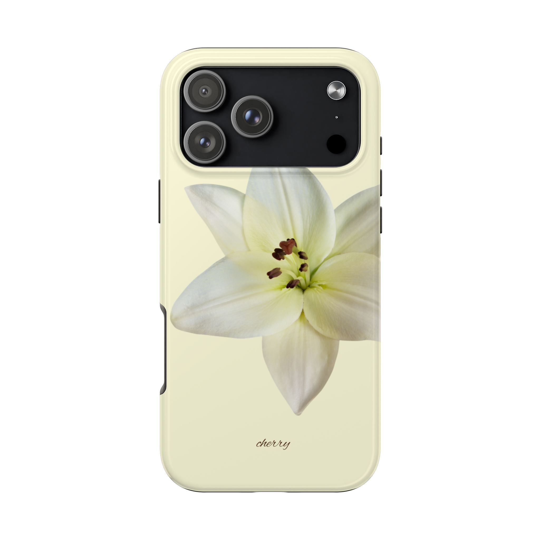 Ivory Lily