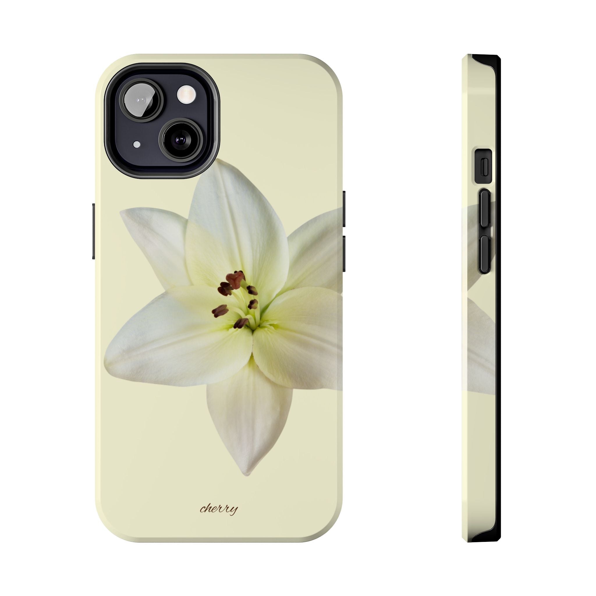 Ivory Lily