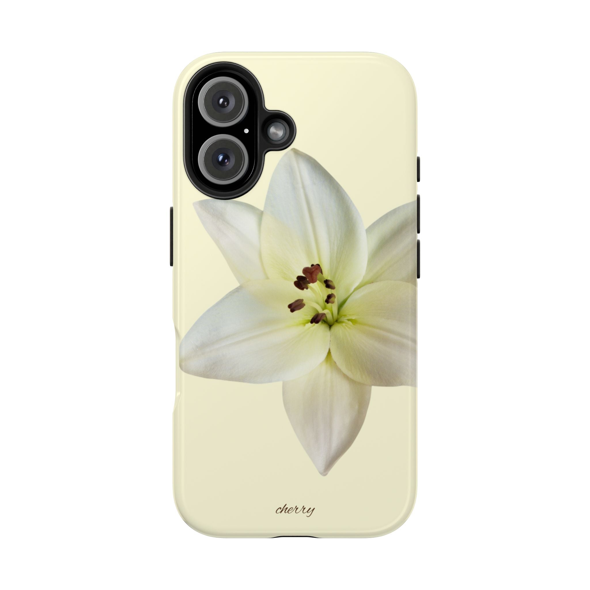 Ivory Lily