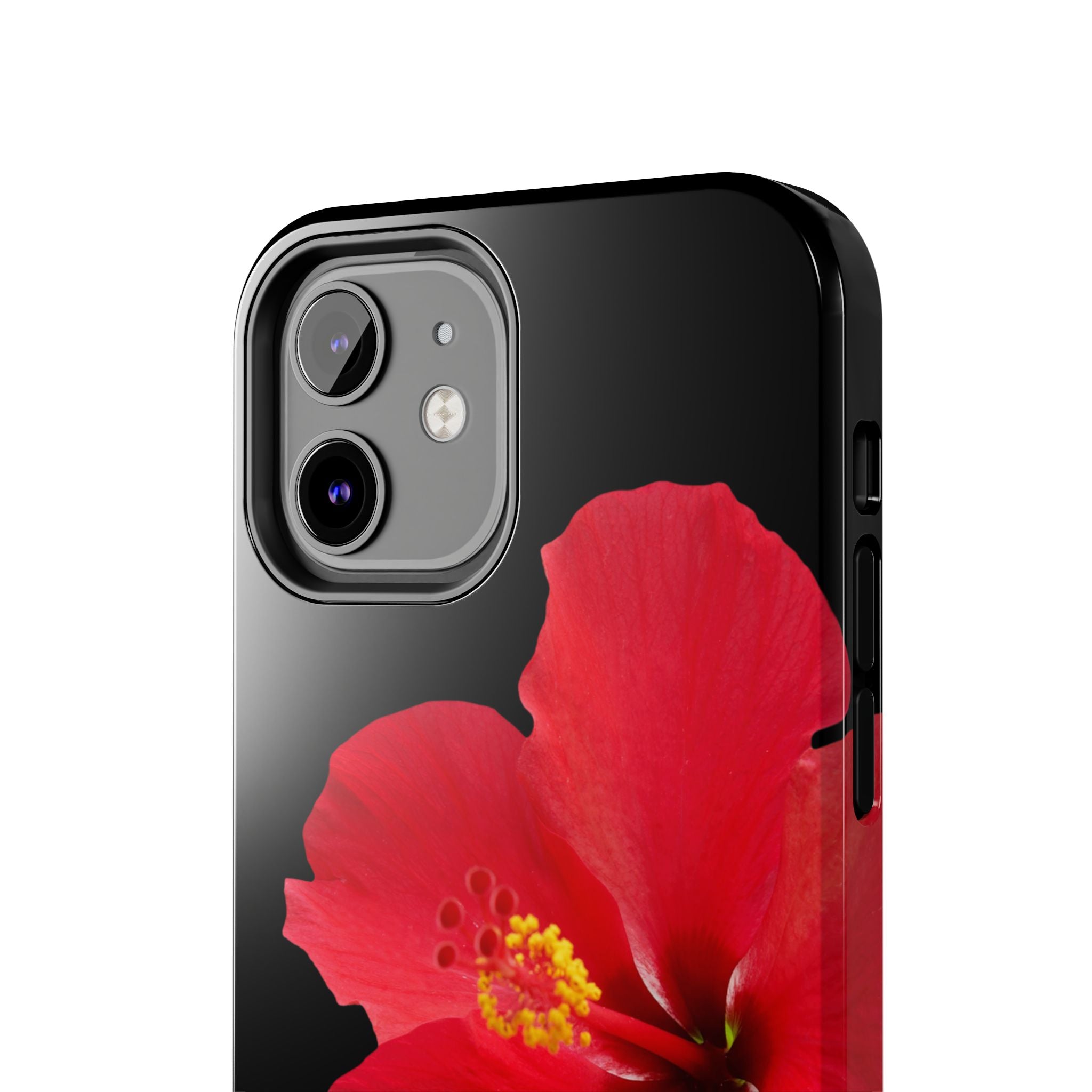 Scarlet Hibiscus