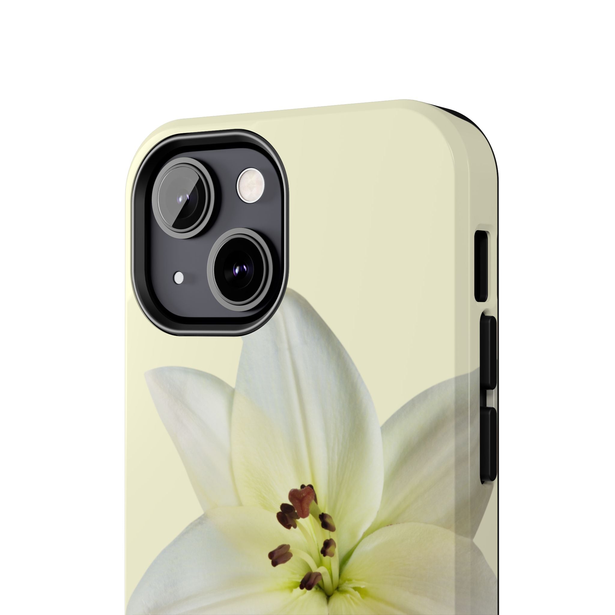 Ivory Lily