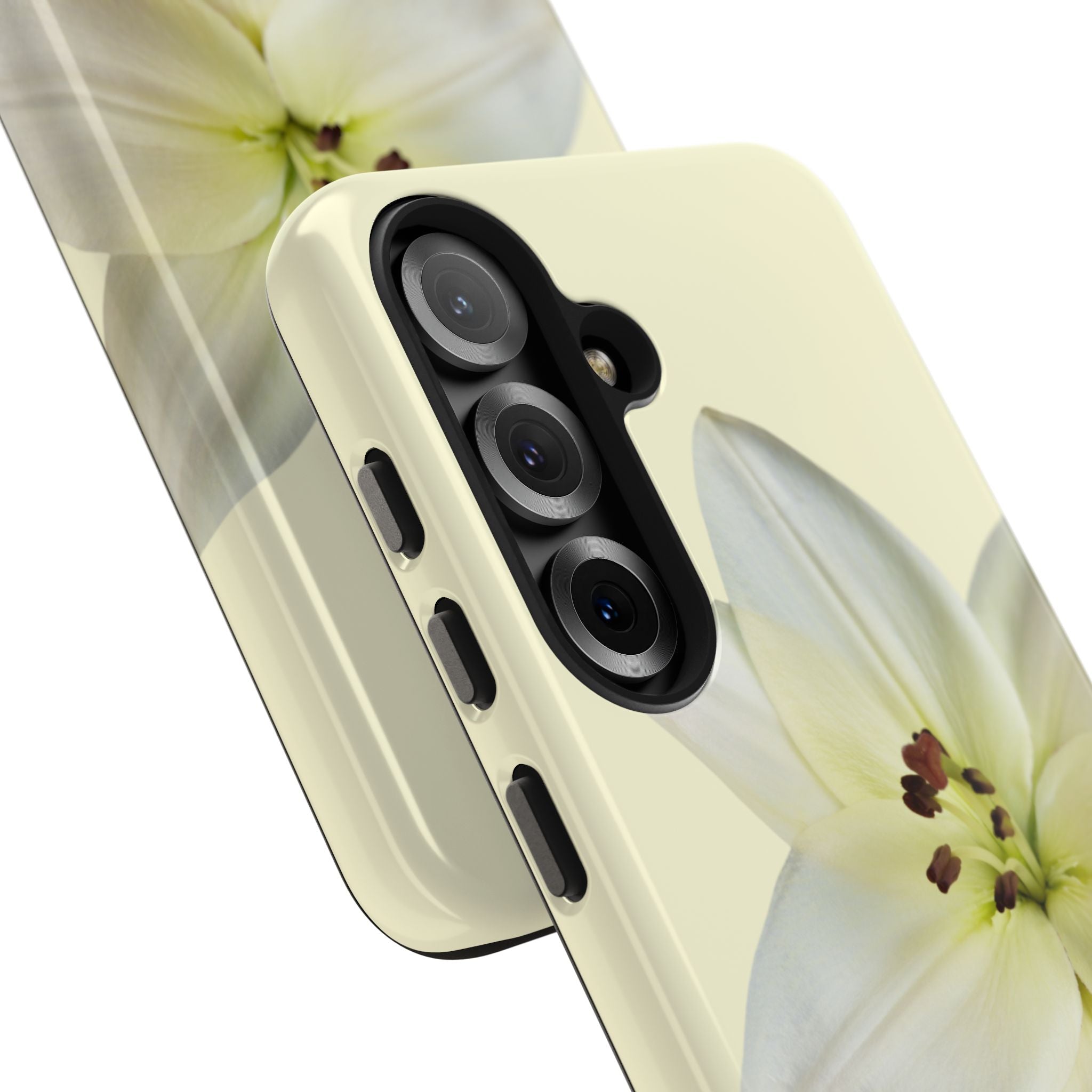 Ivory Lily