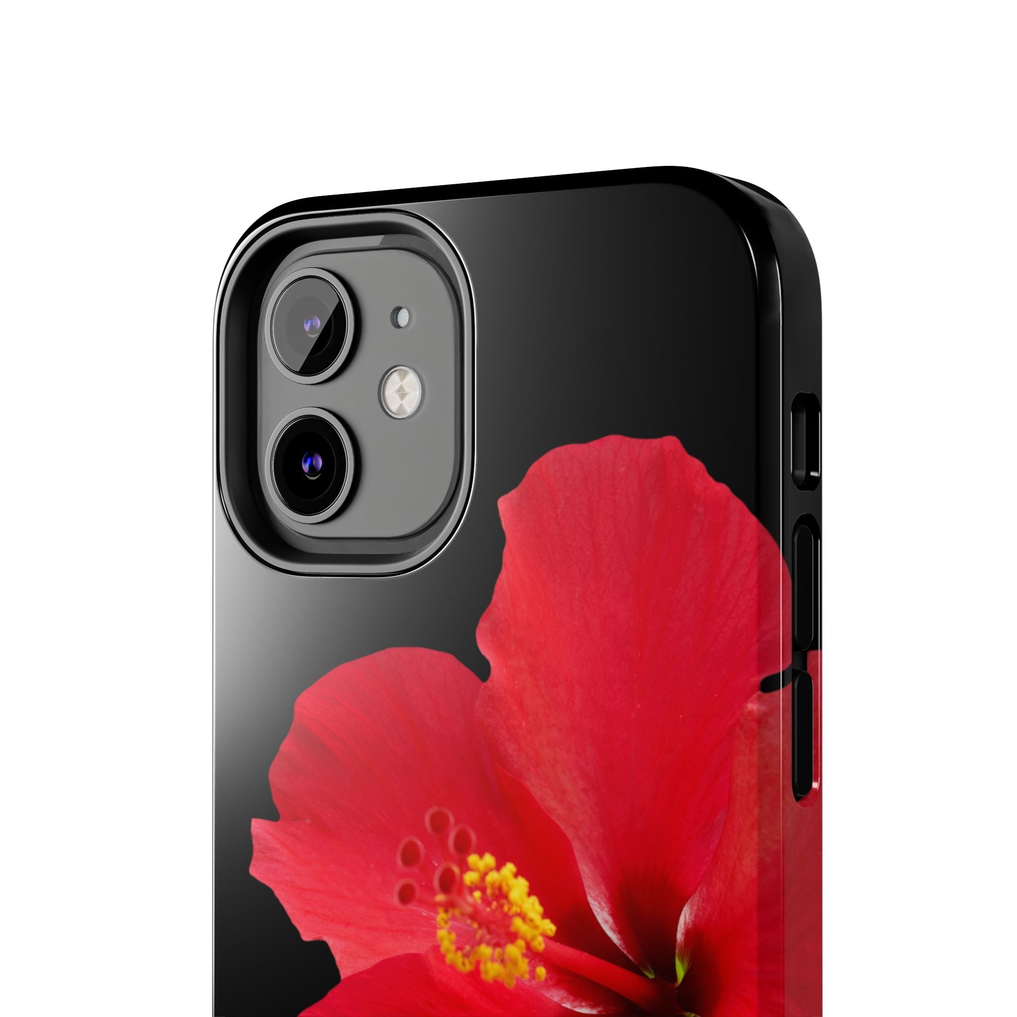 Scarlet Hibiscus