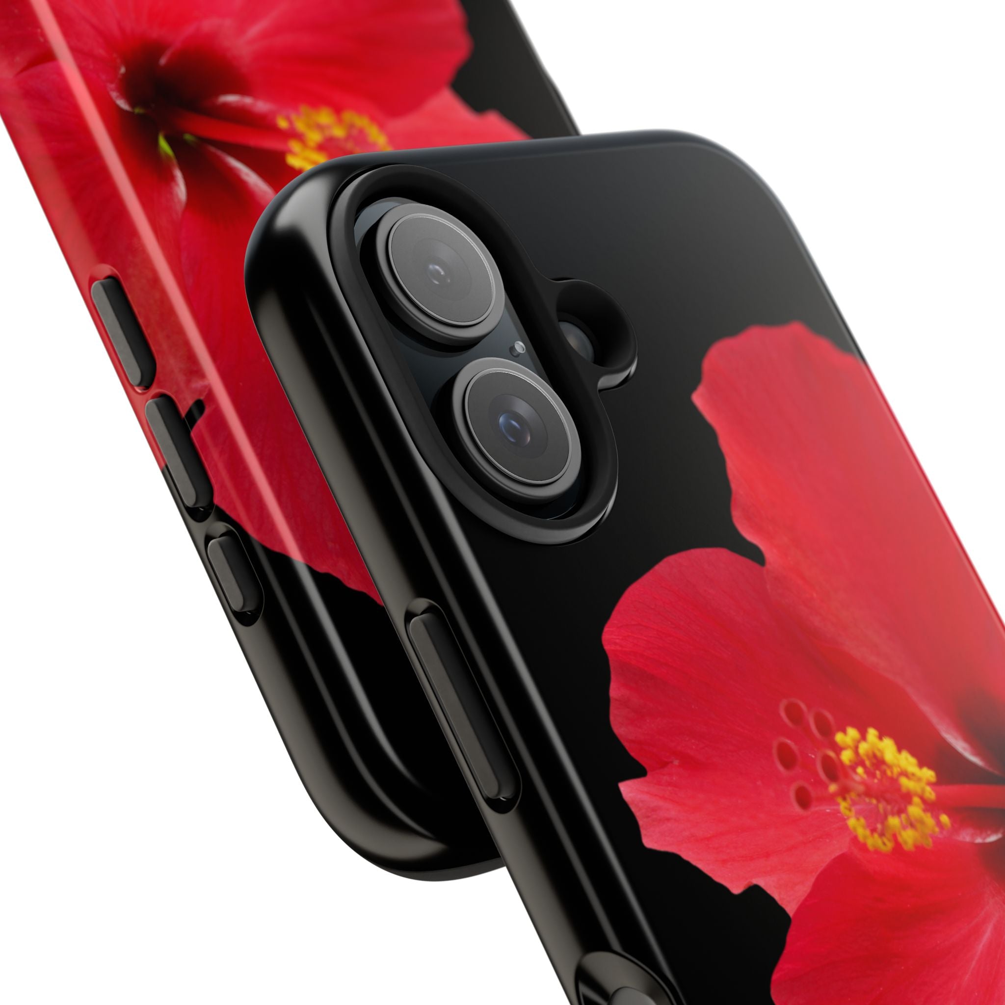 Scarlet Hibiscus