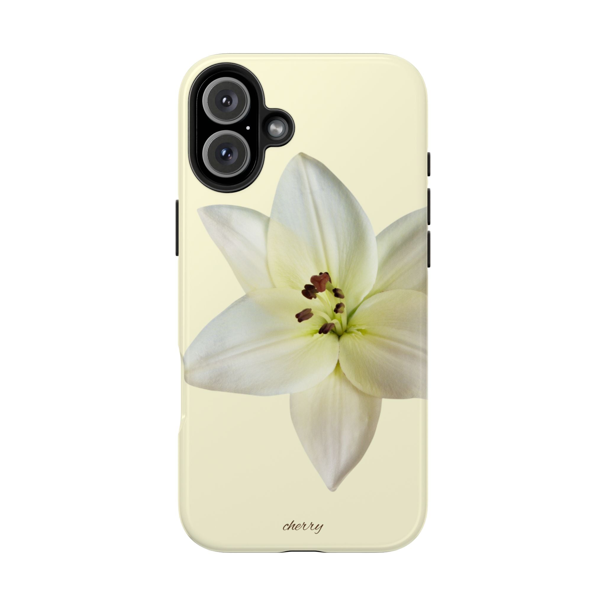 Ivory Lily