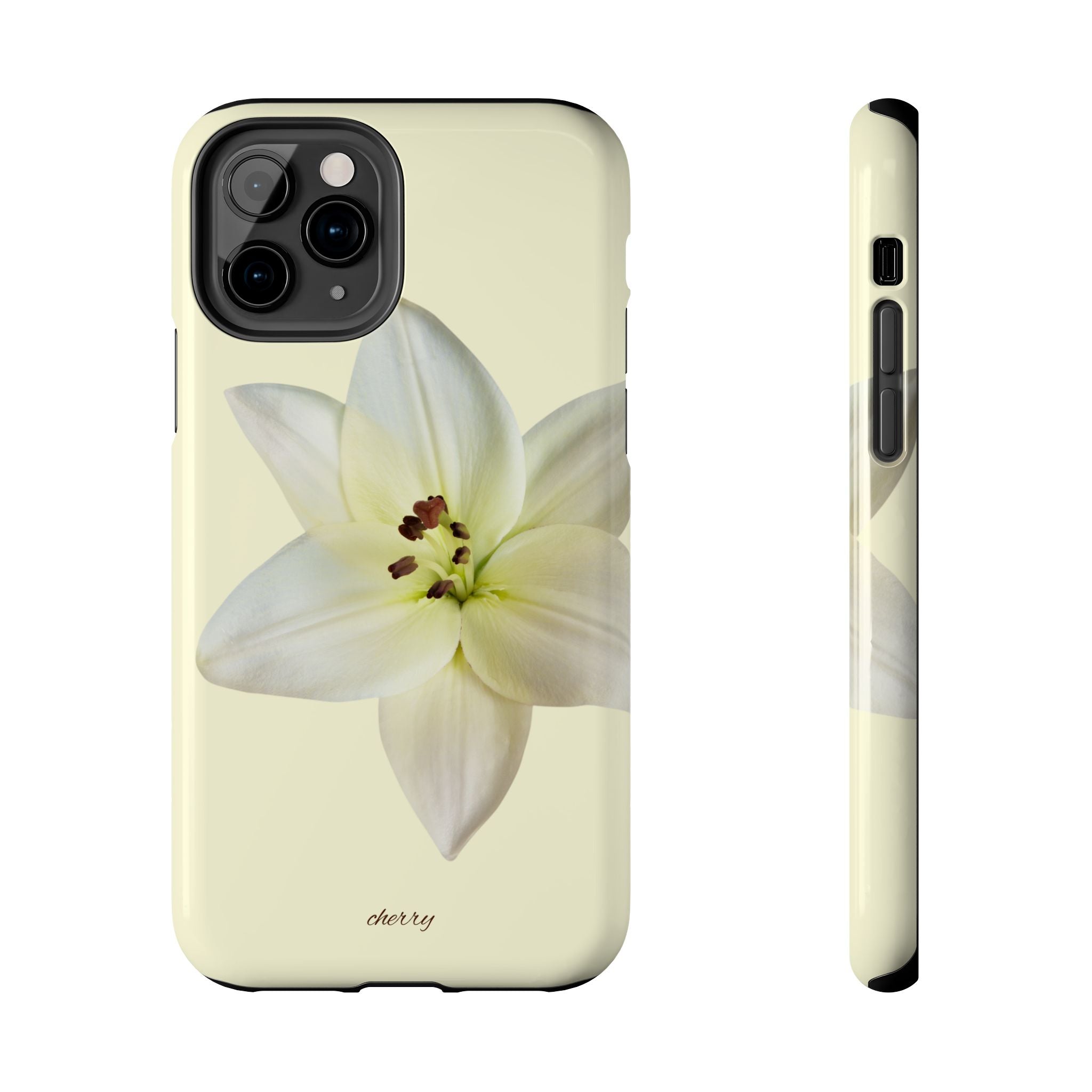 Ivory Lily