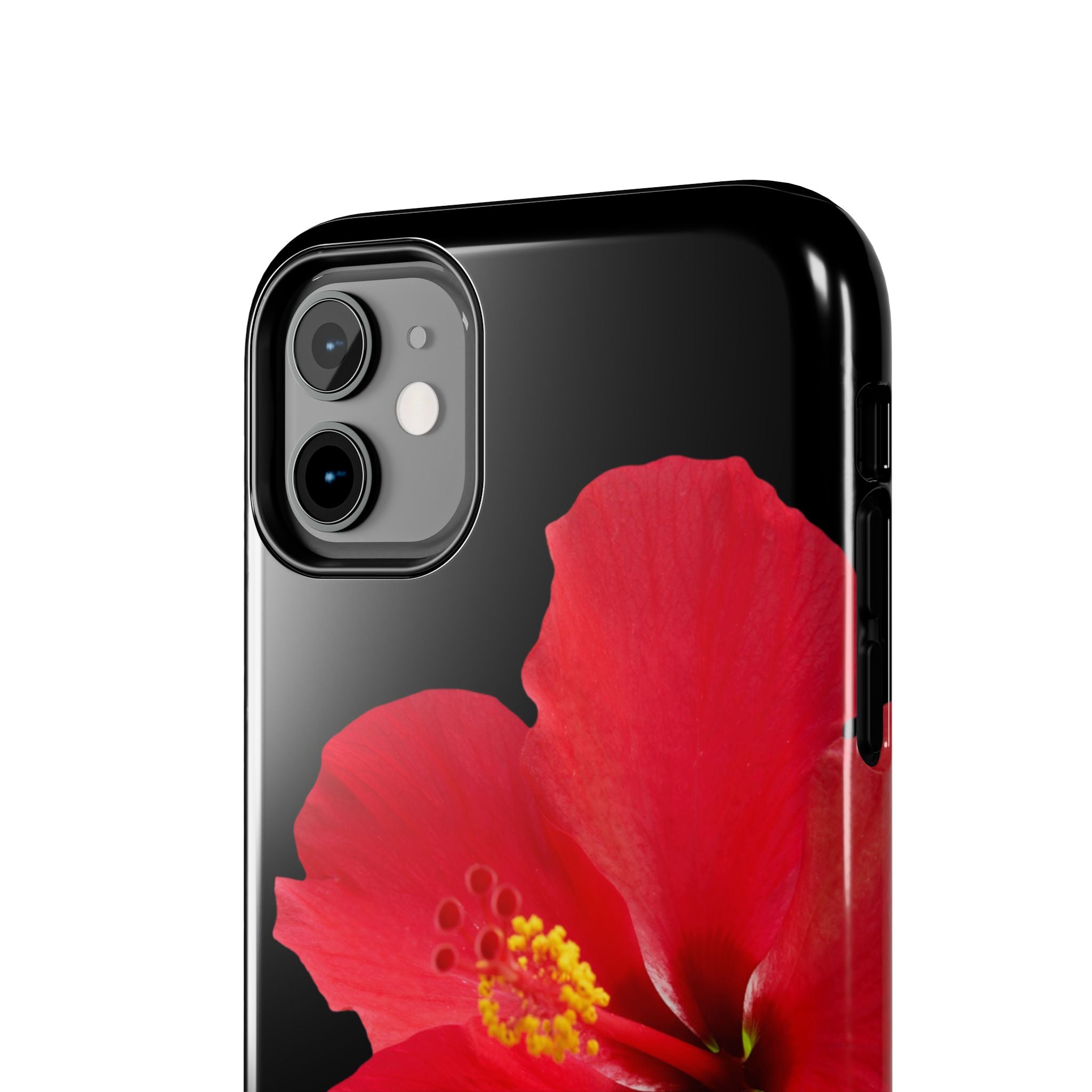 Scarlet Hibiscus