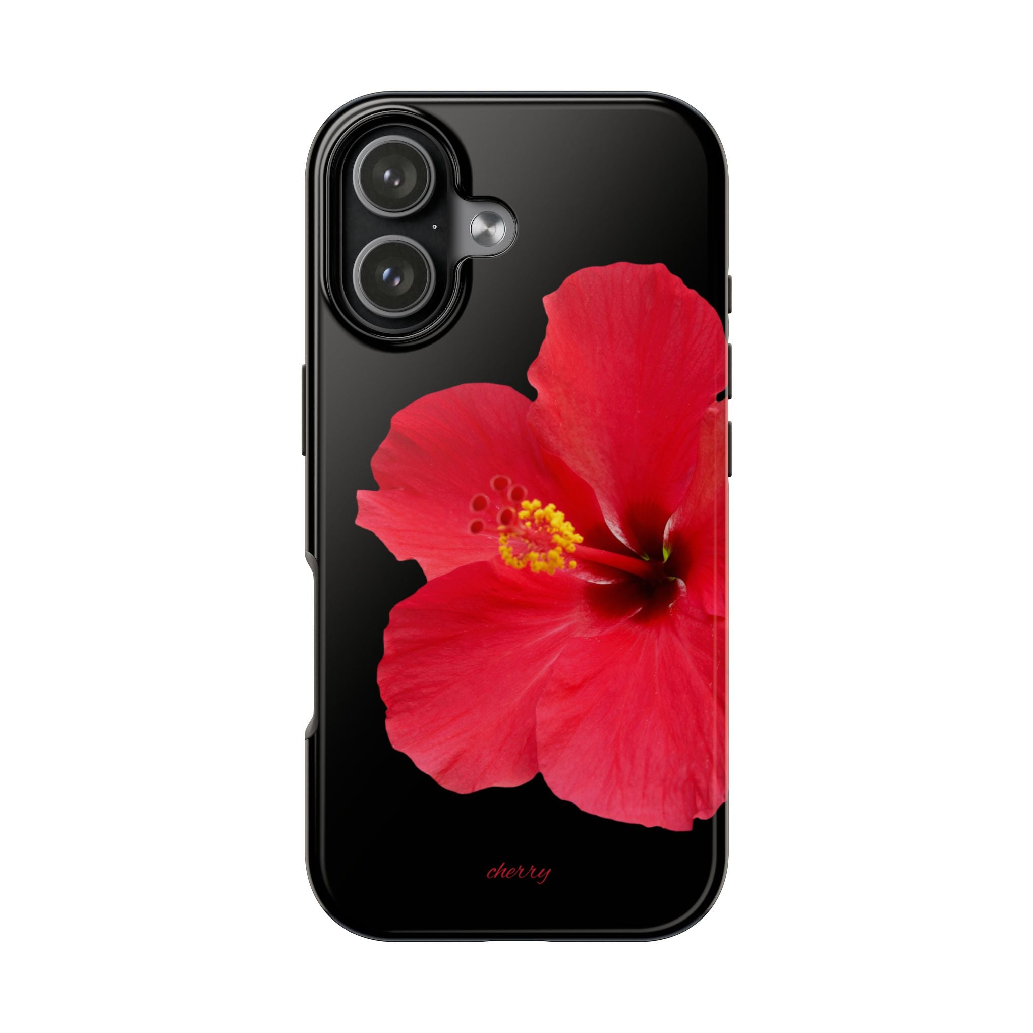 Scarlet Hibiscus