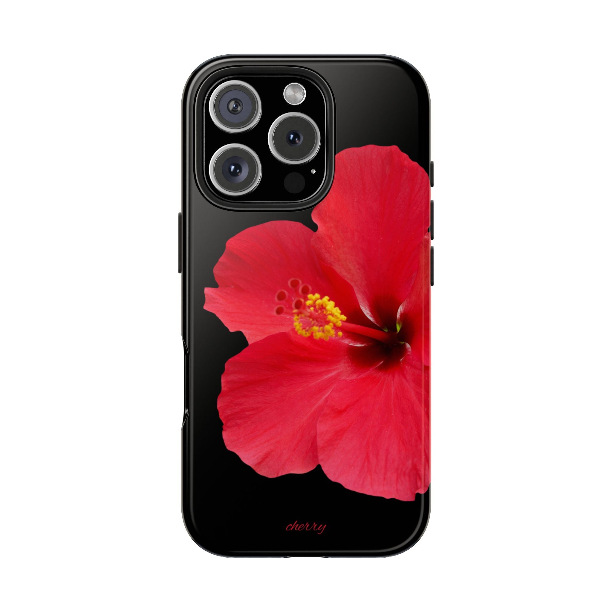 Scarlet Hibiscus