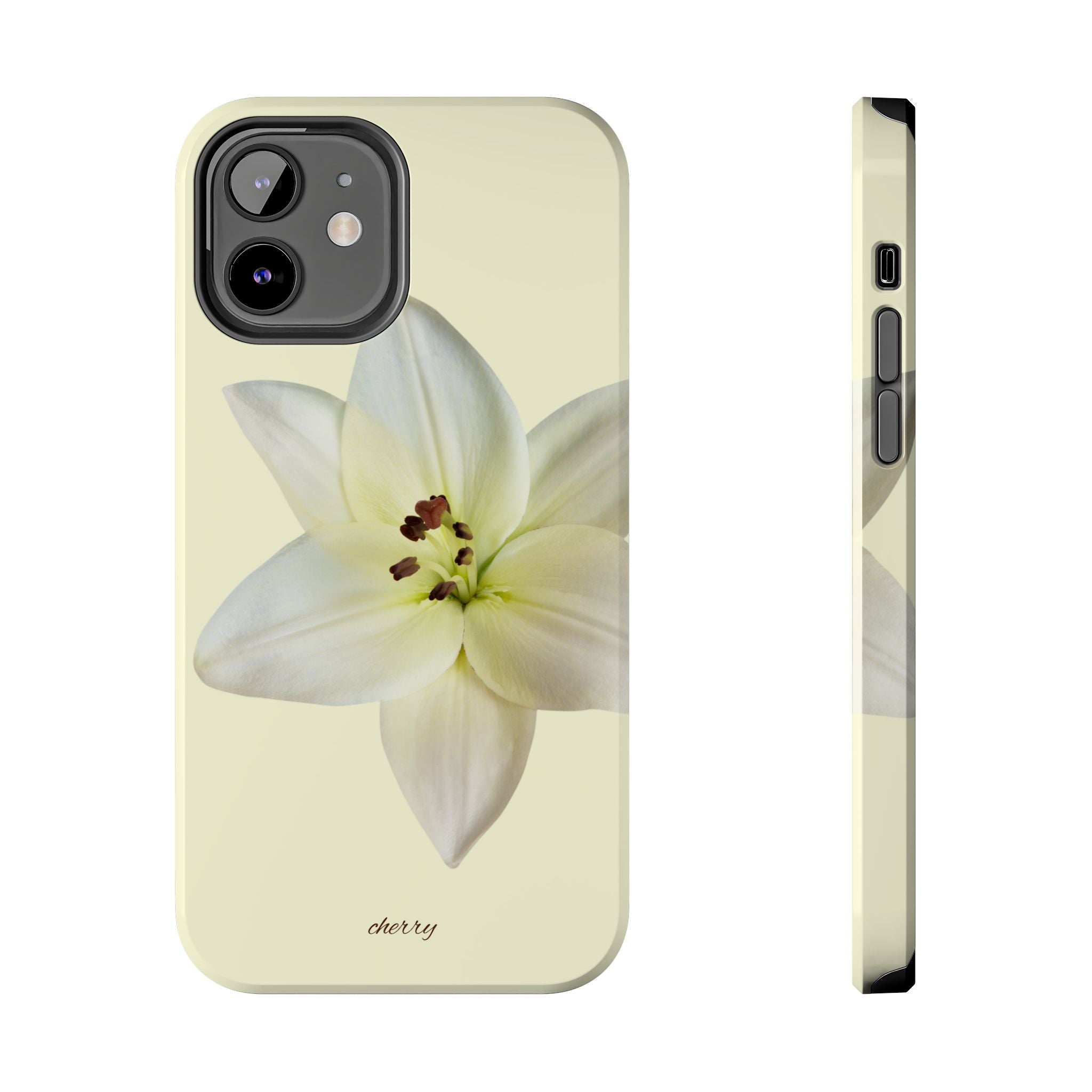 Ivory Lily
