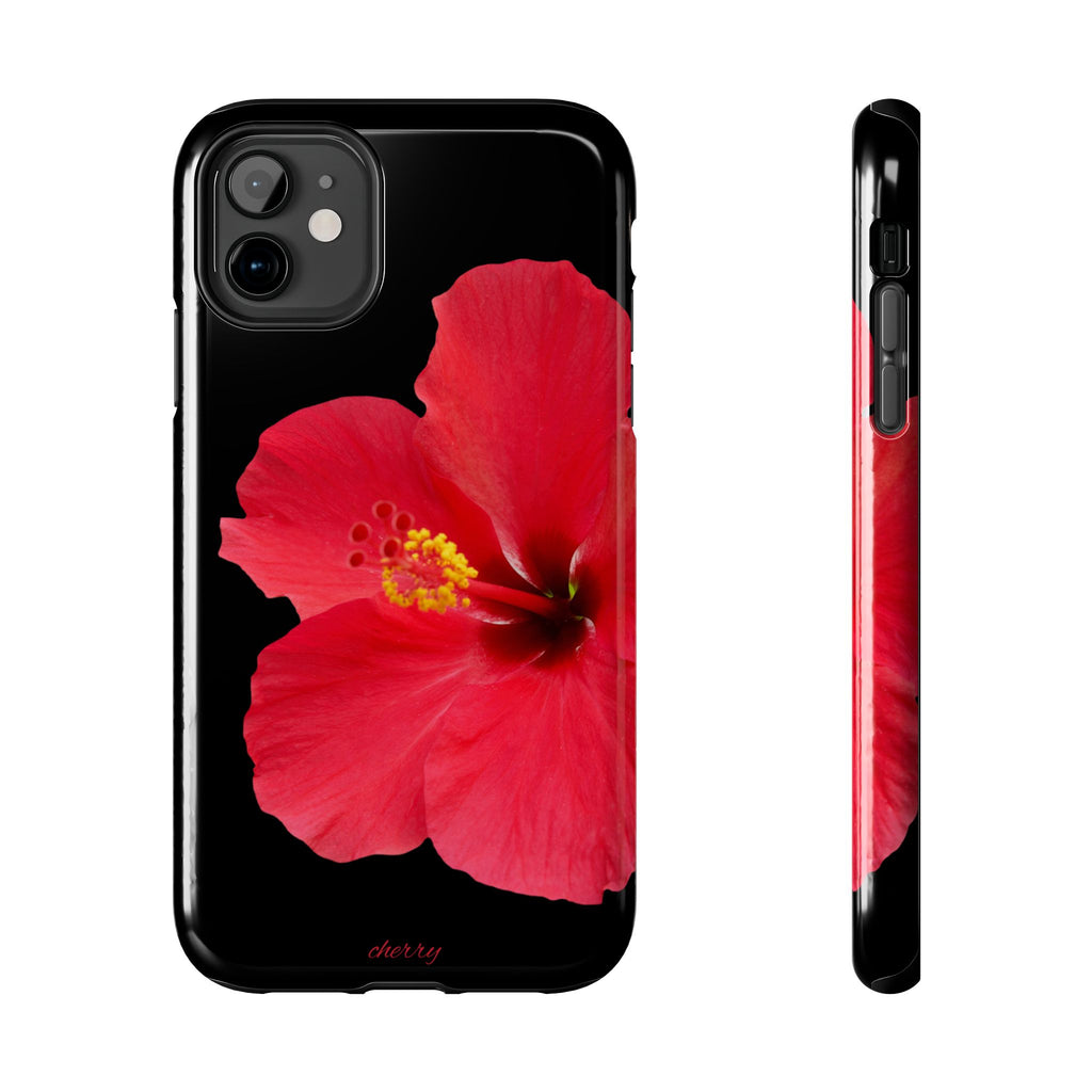 Scarlet Hibiscus