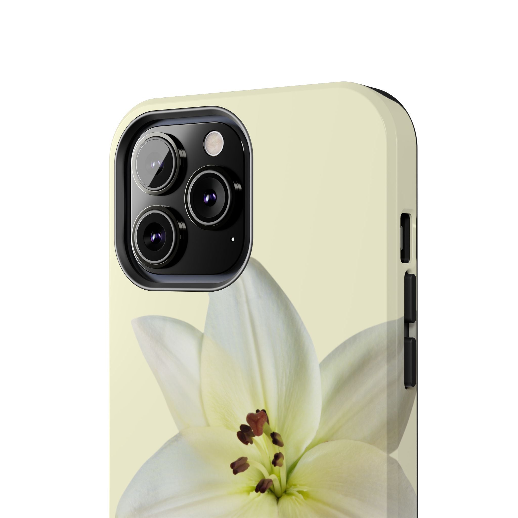 Ivory Lily