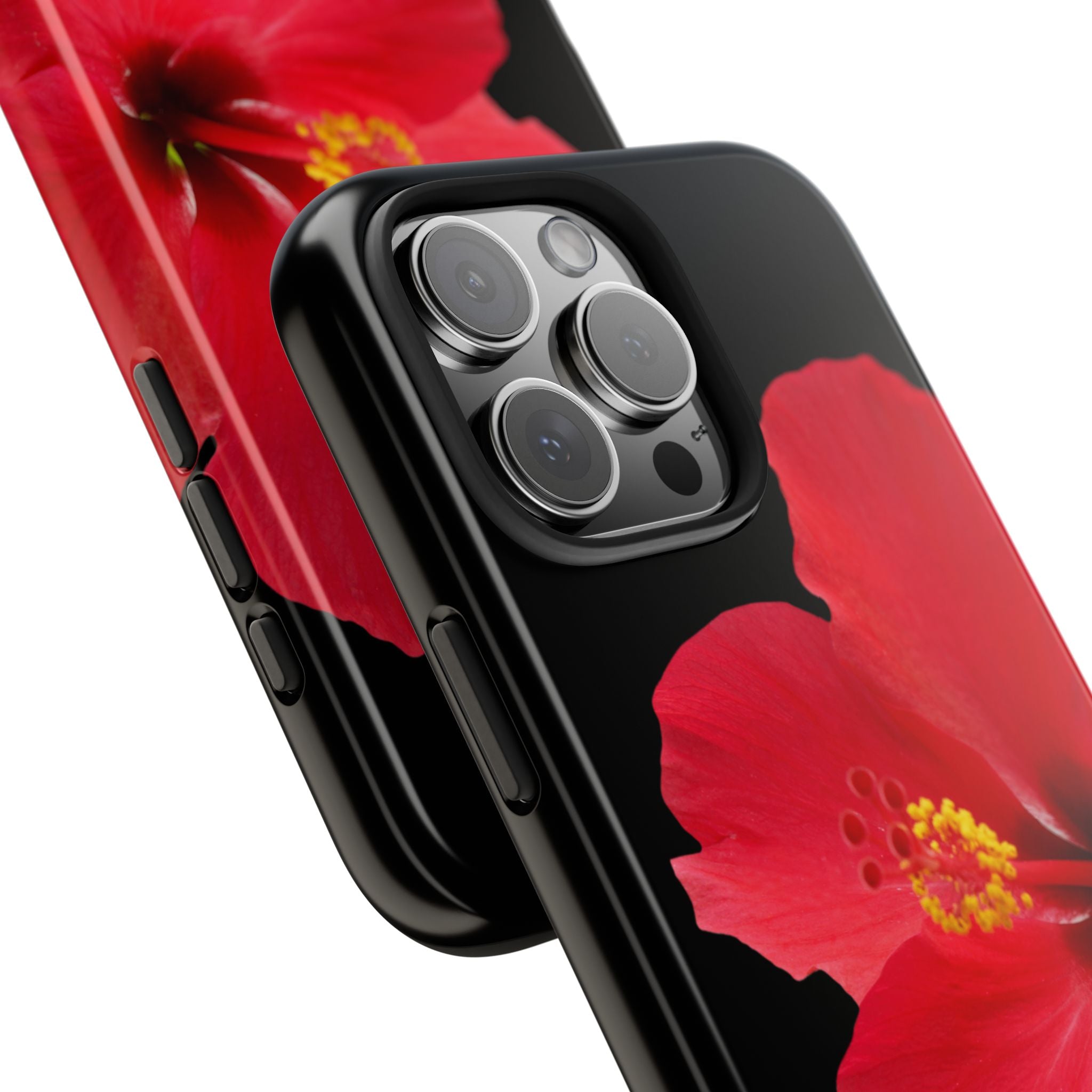 Scarlet Hibiscus