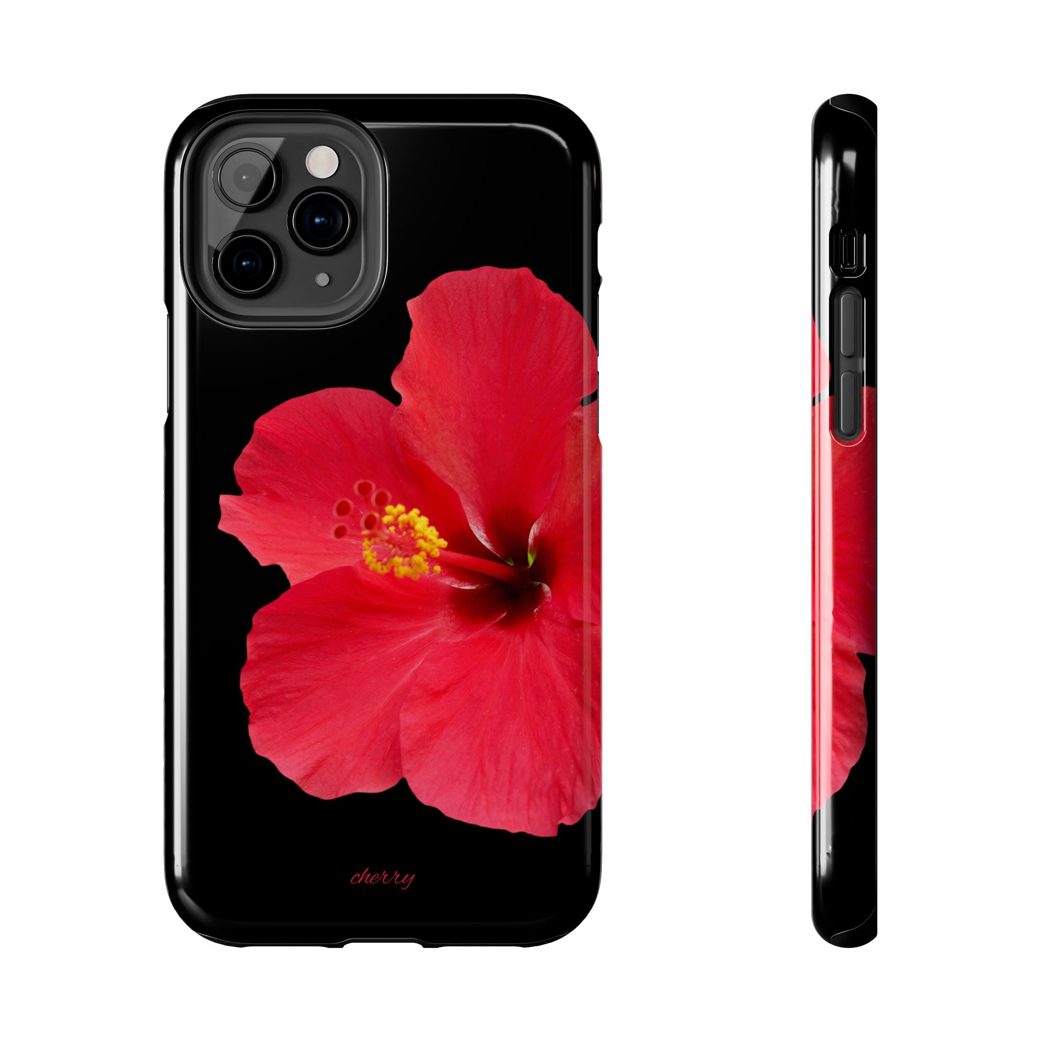 Scarlet Hibiscus
