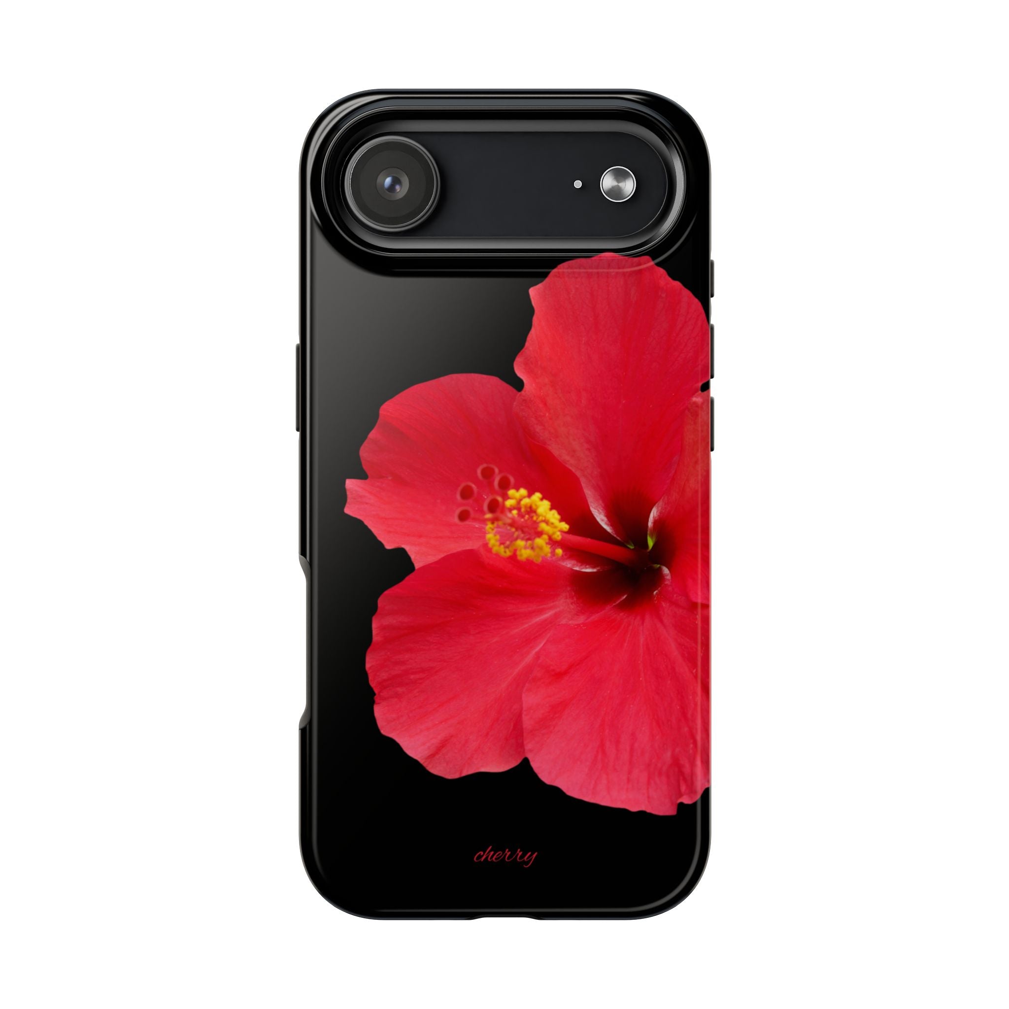 Scarlet Hibiscus