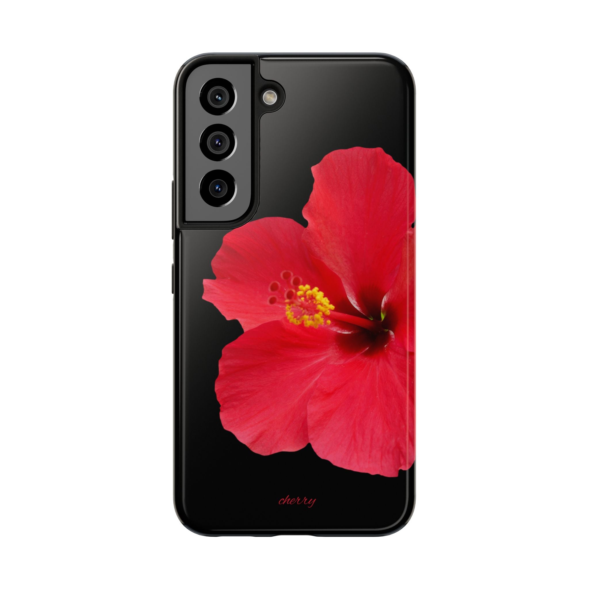 Scarlet Hibiscus
