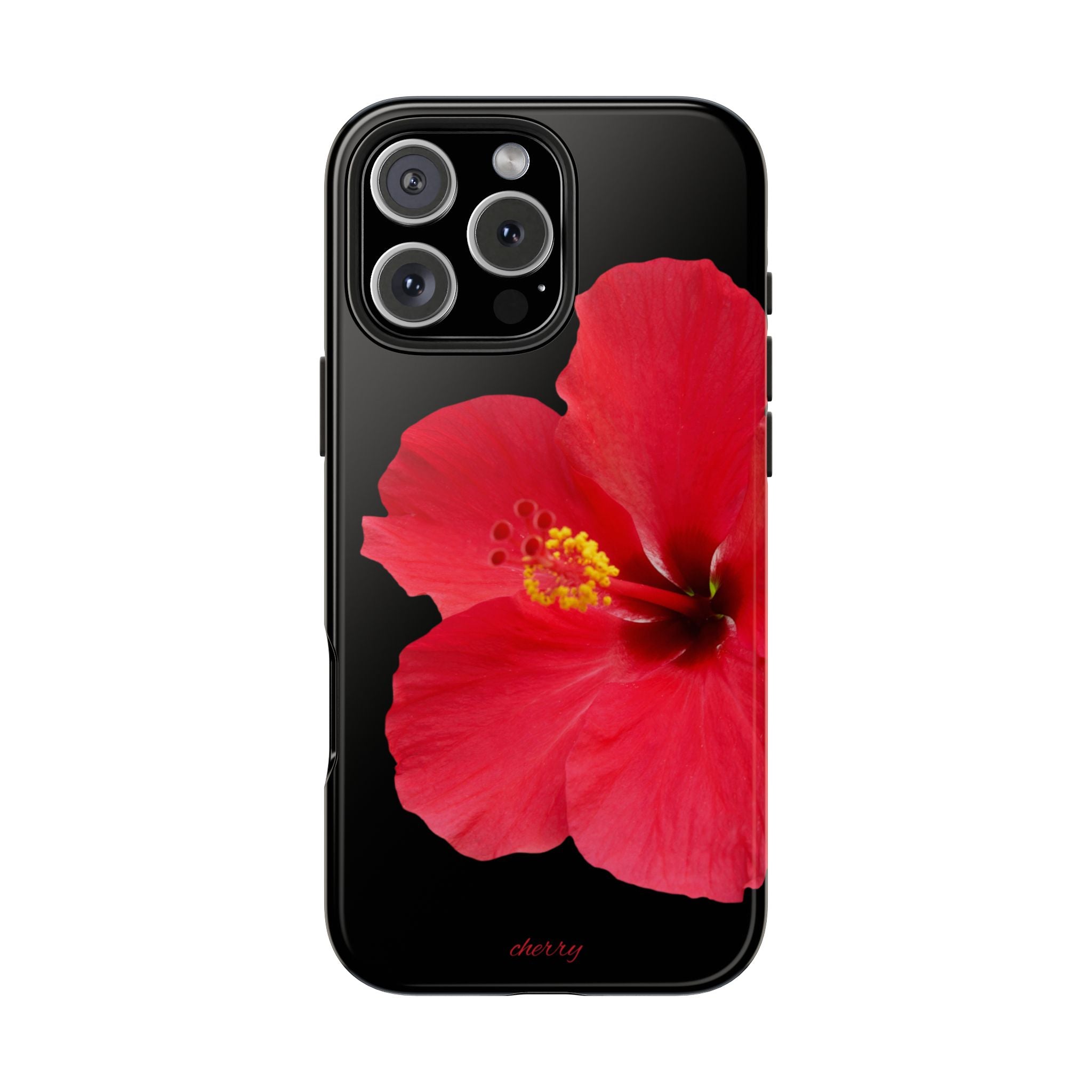 Scarlet Hibiscus
