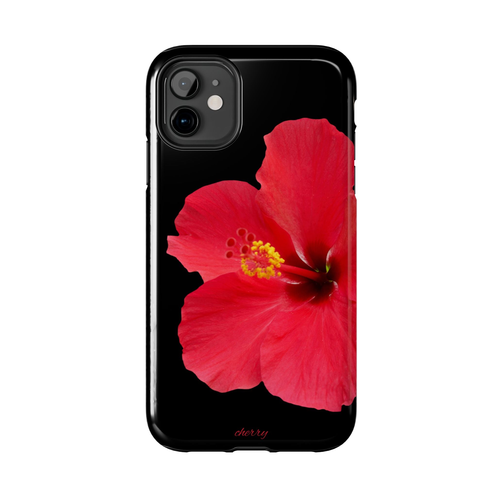 Scarlet Hibiscus