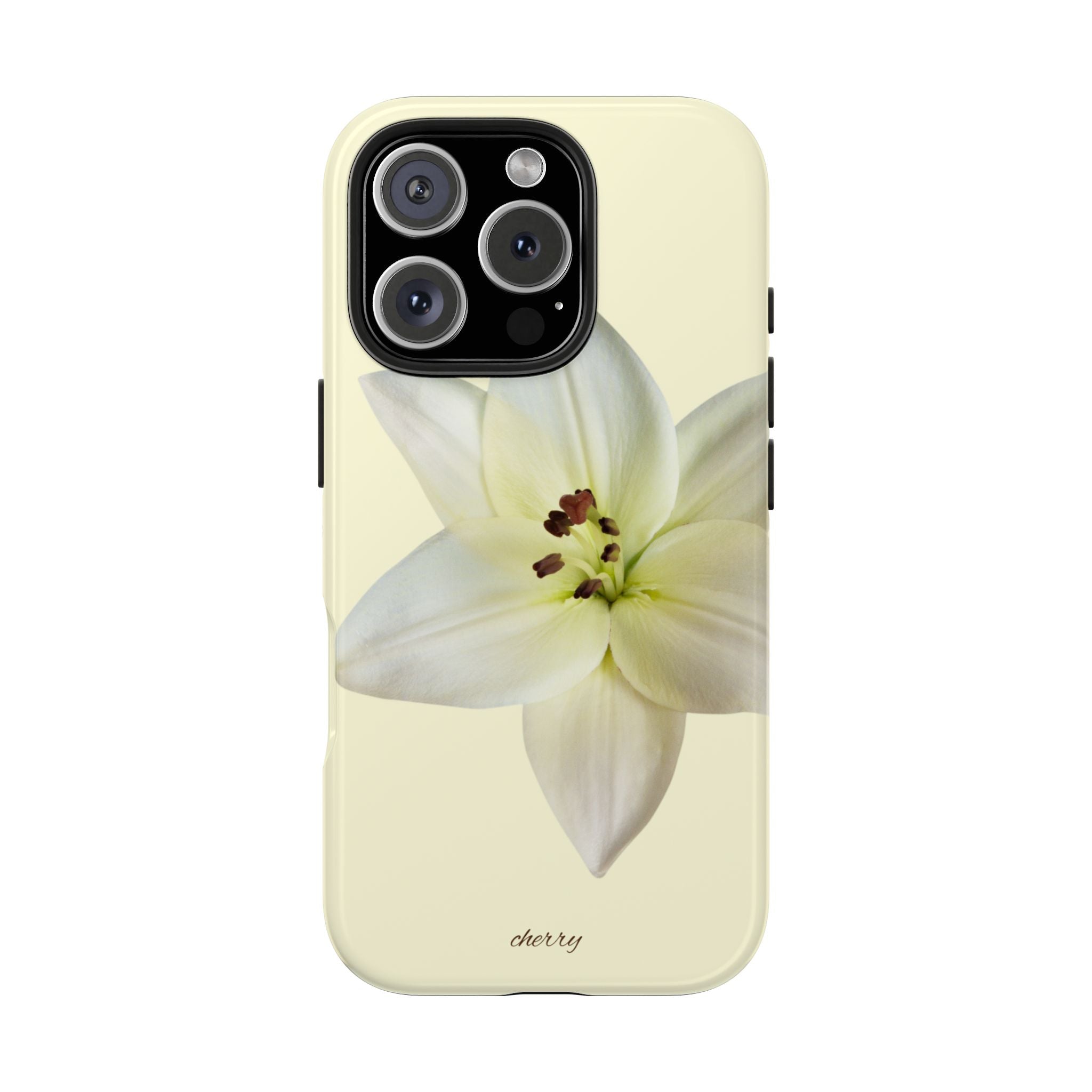 Ivory Lily