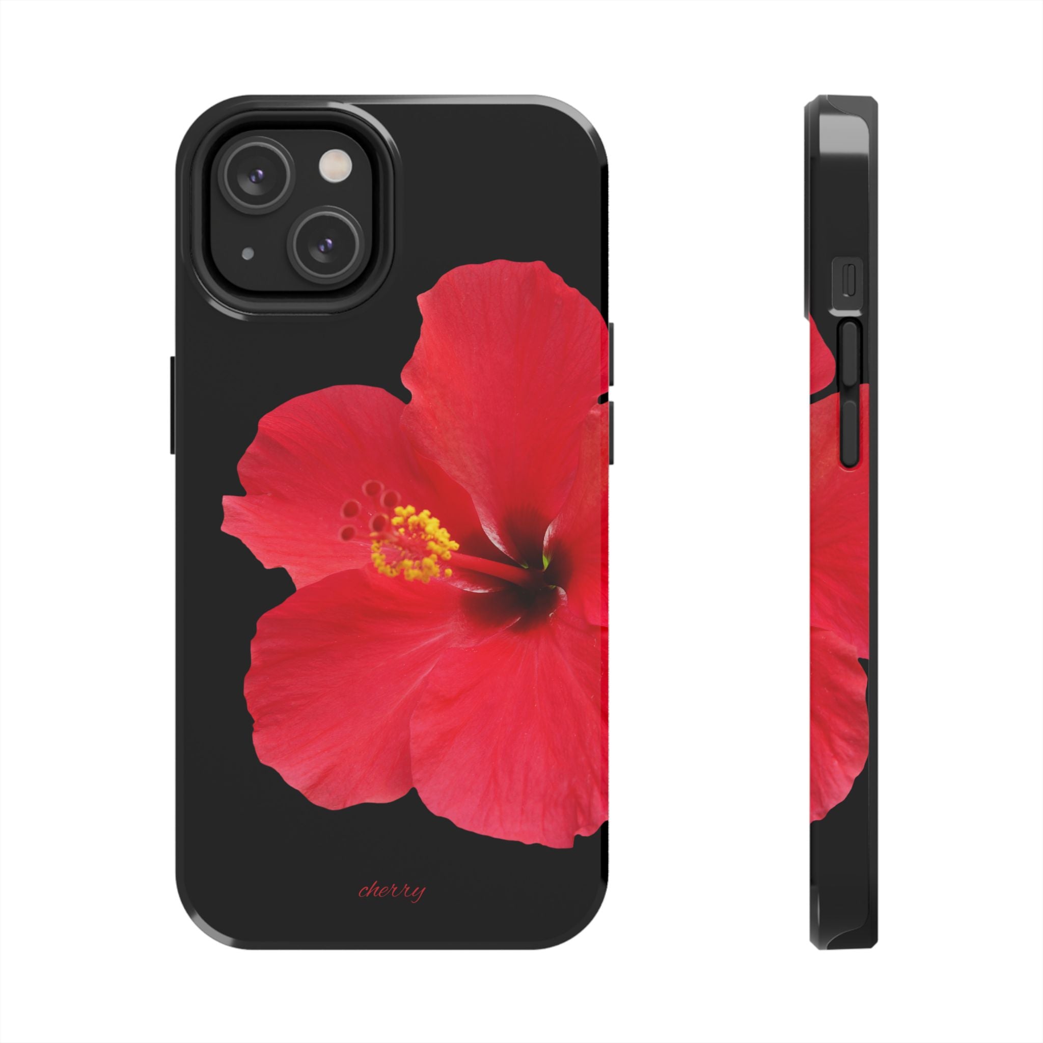 Scarlet Hibiscus
