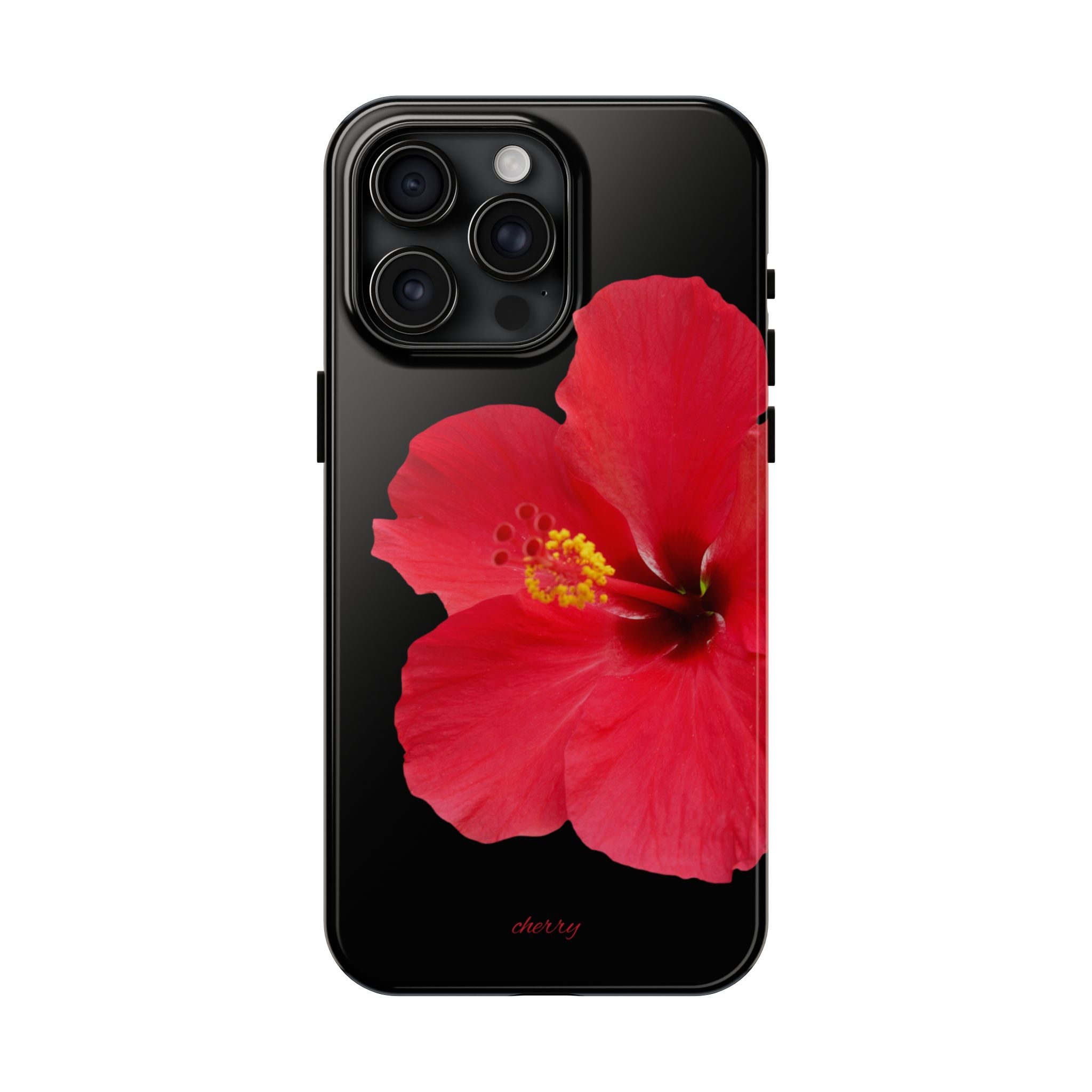 Scarlet Hibiscus