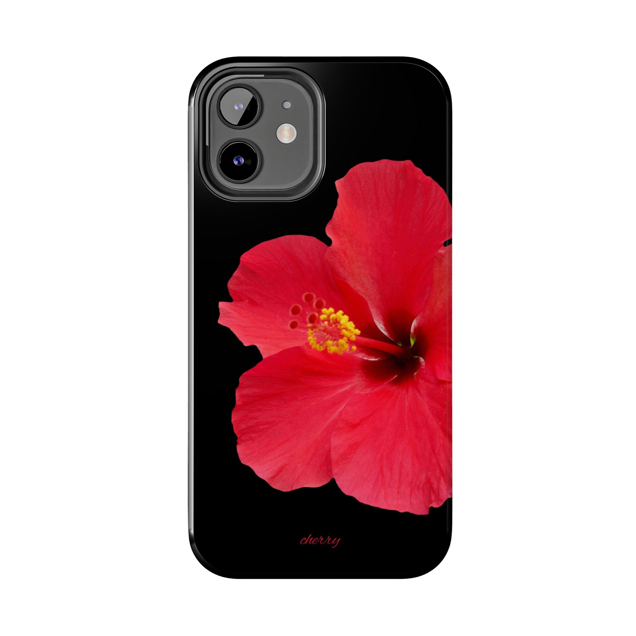 Scarlet Hibiscus