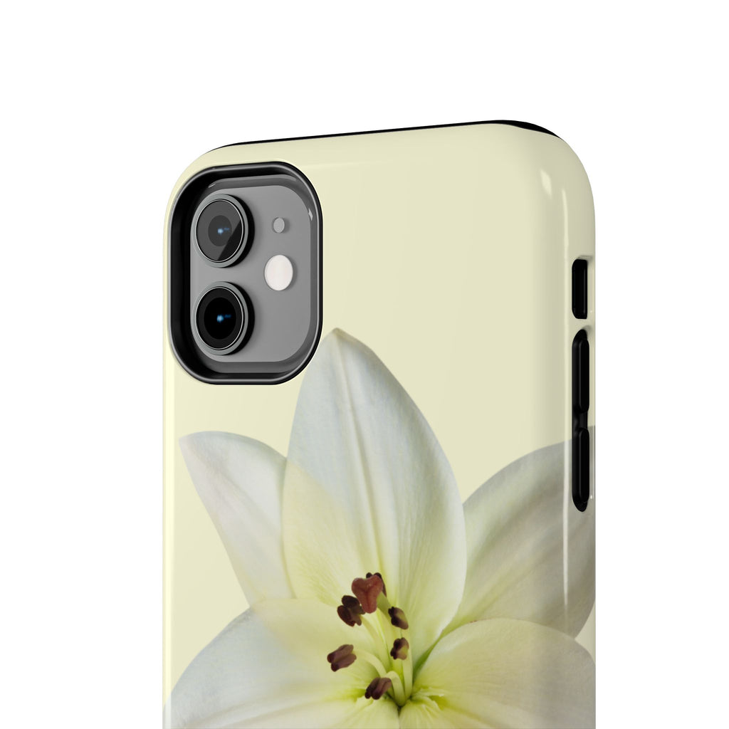 Ivory Lily