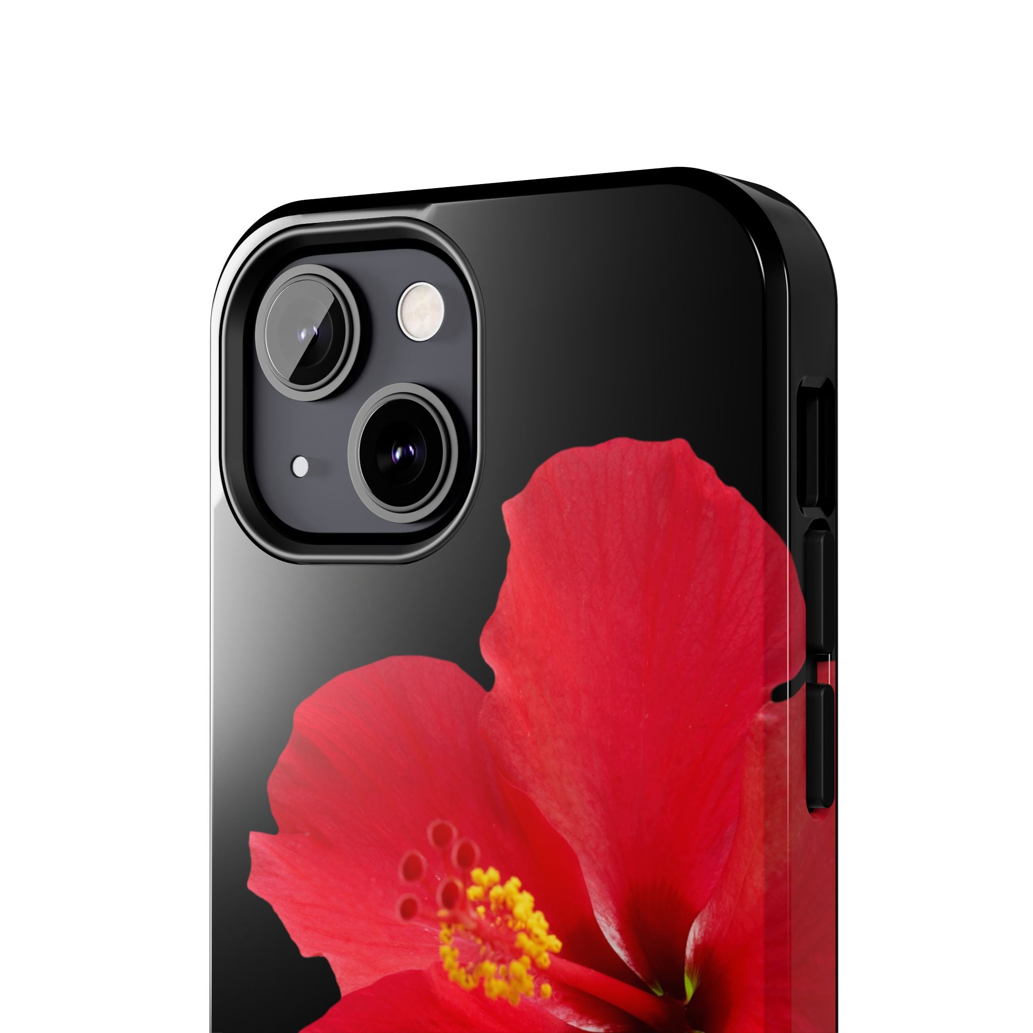 Scarlet Hibiscus