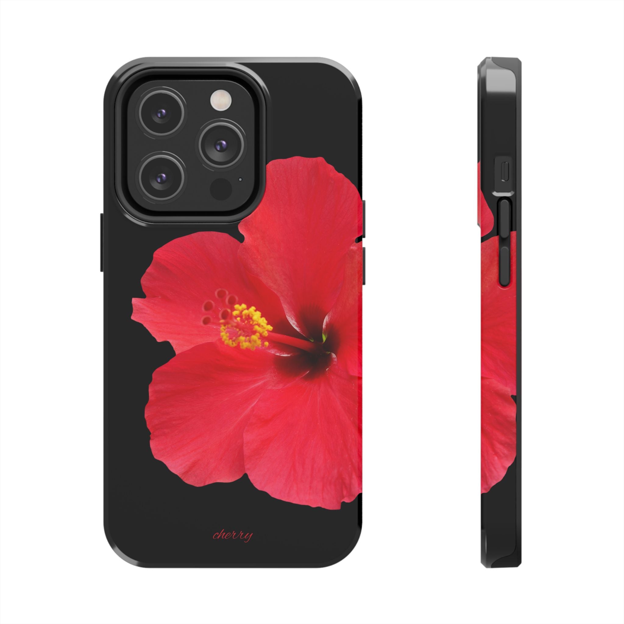 Scarlet Hibiscus