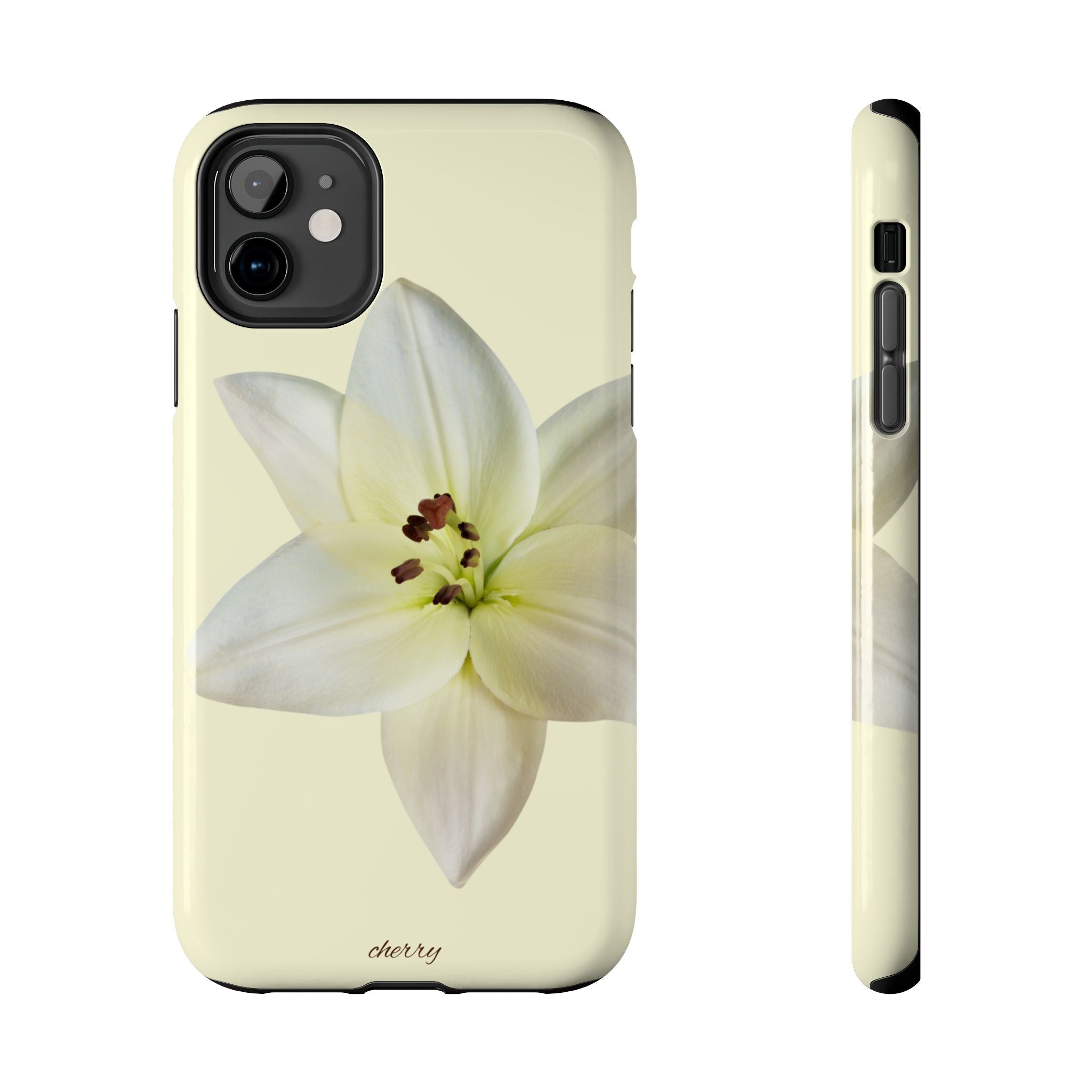 Ivory Lily