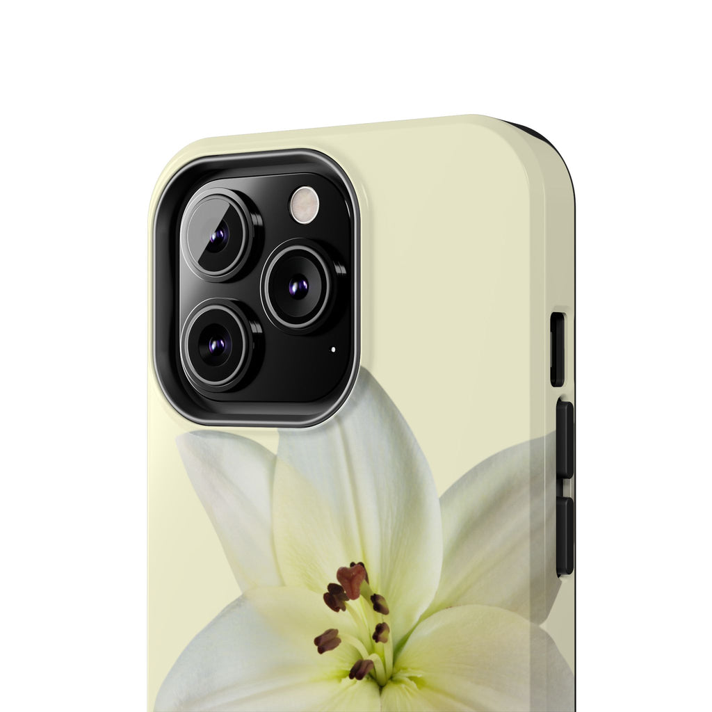 Ivory Lily