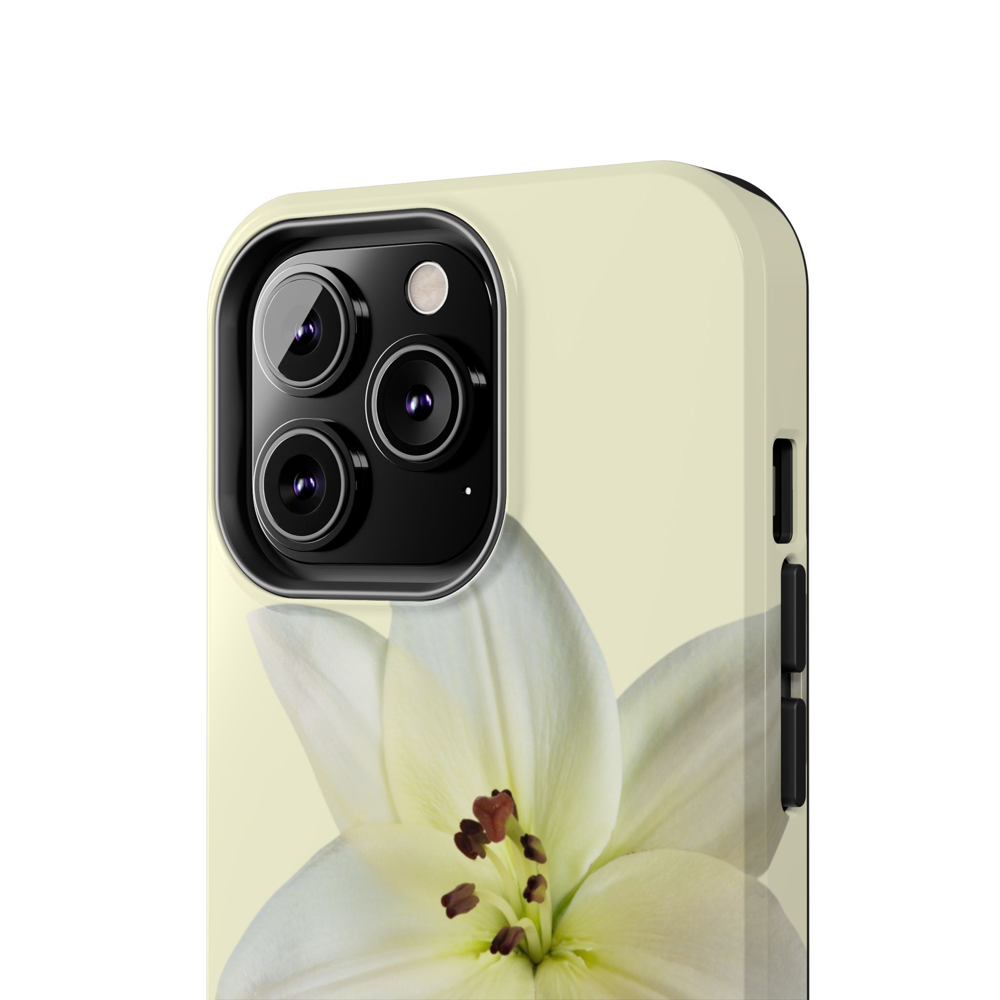 Ivory Lily