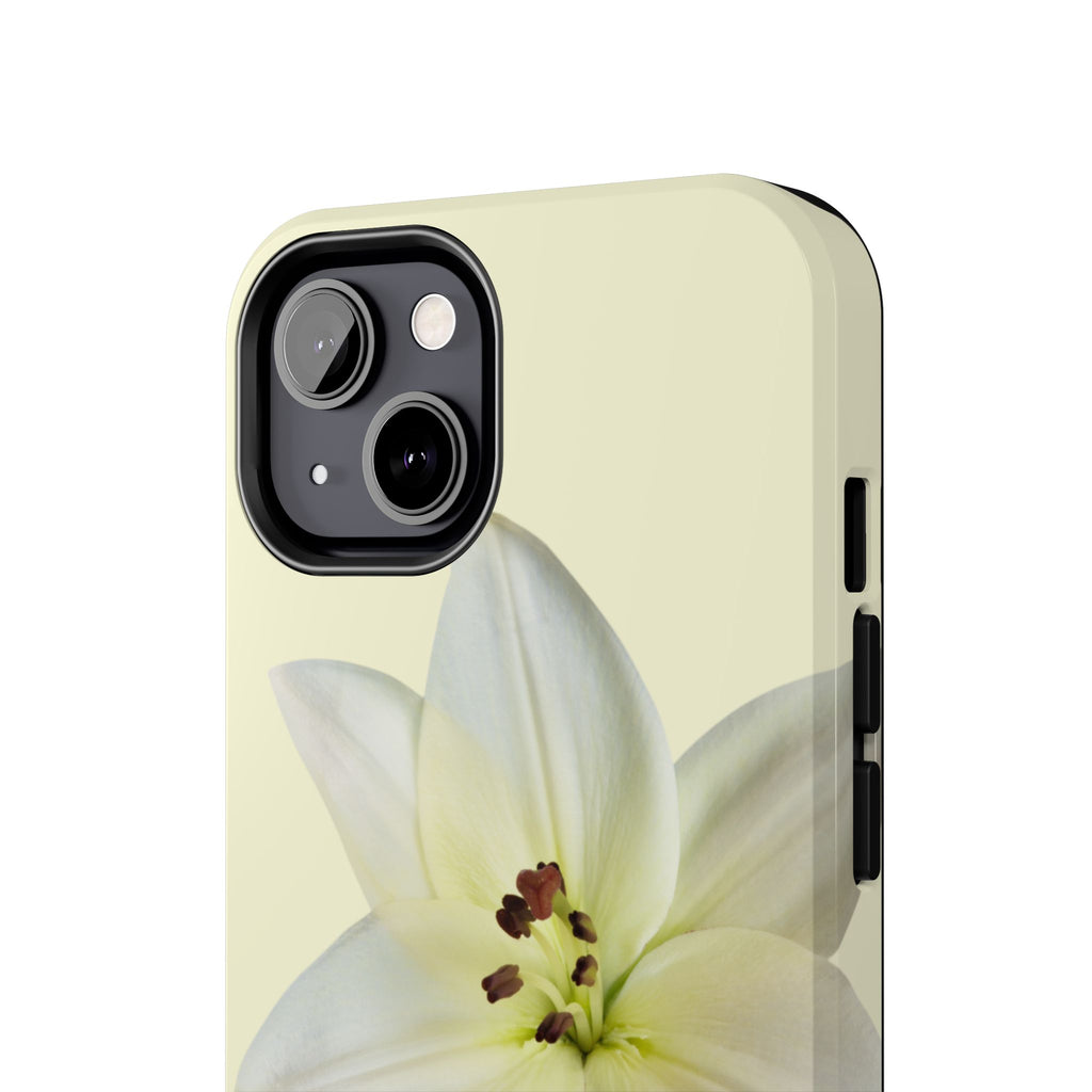 Ivory Lily