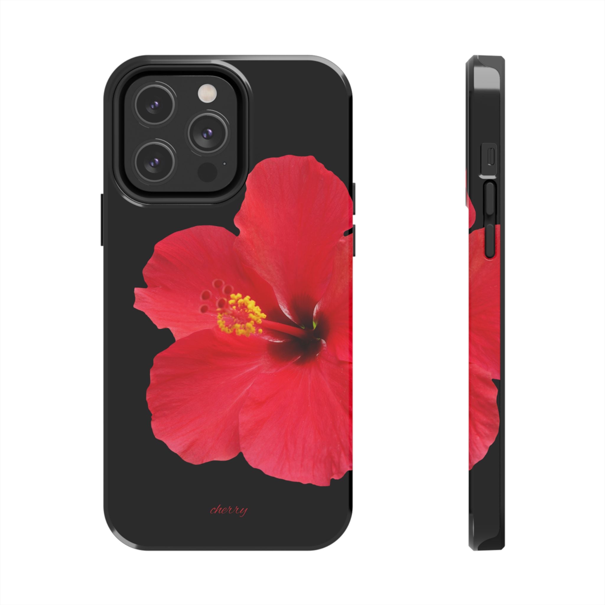 Scarlet Hibiscus