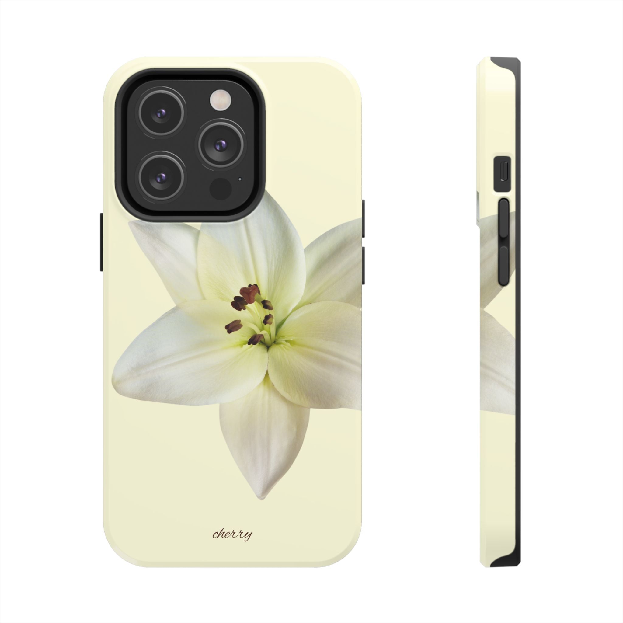 Ivory Lily