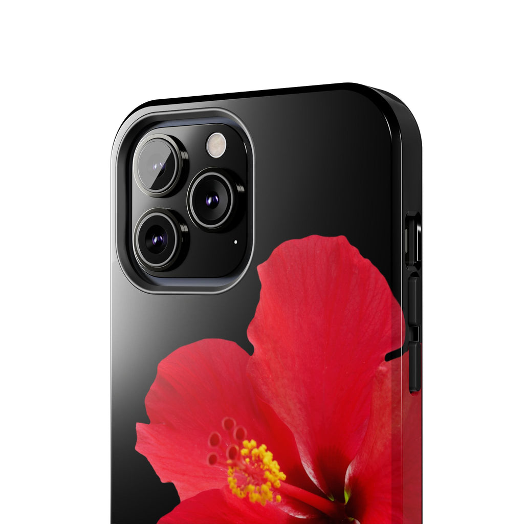 Scarlet Hibiscus