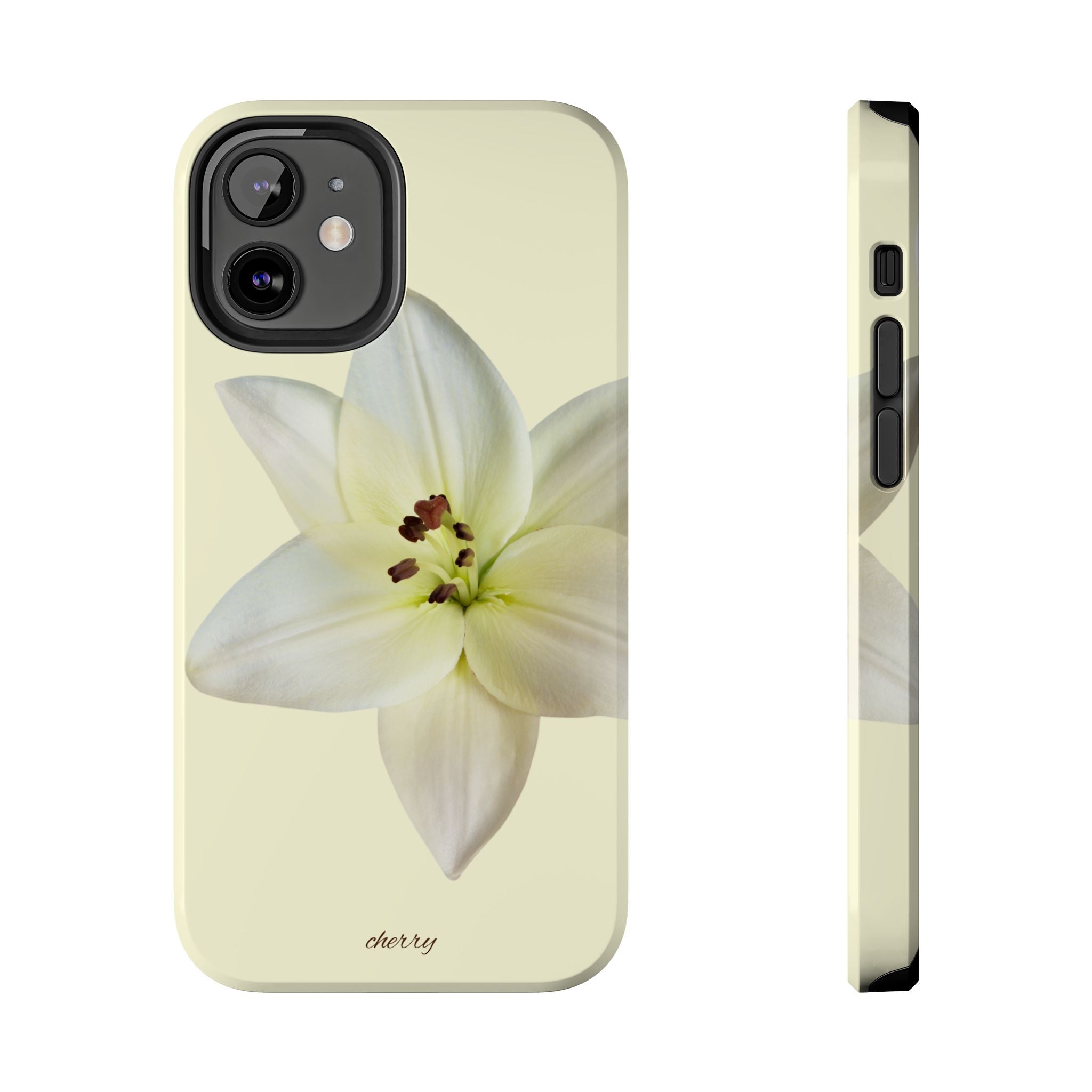 Ivory Lily