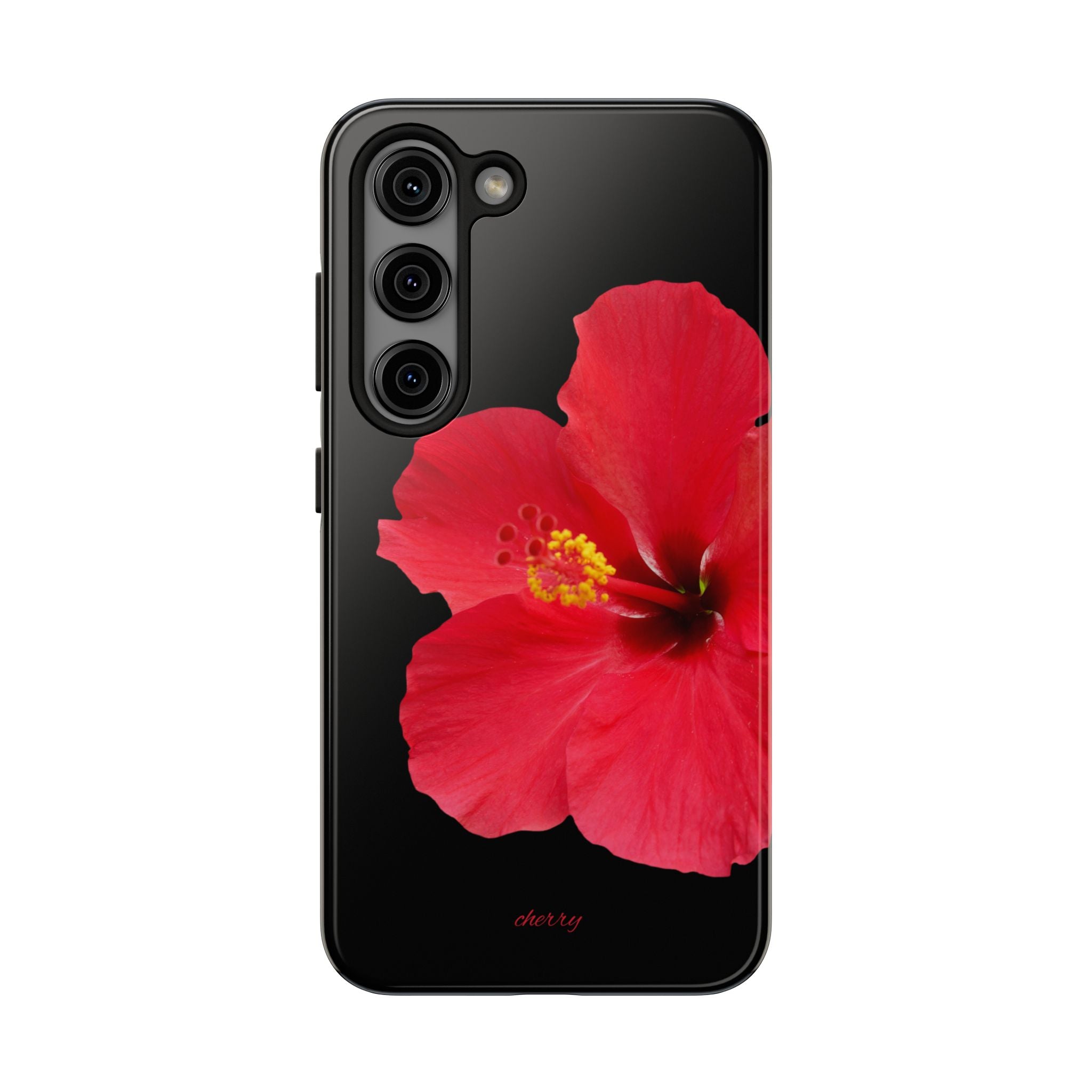 Scarlet Hibiscus