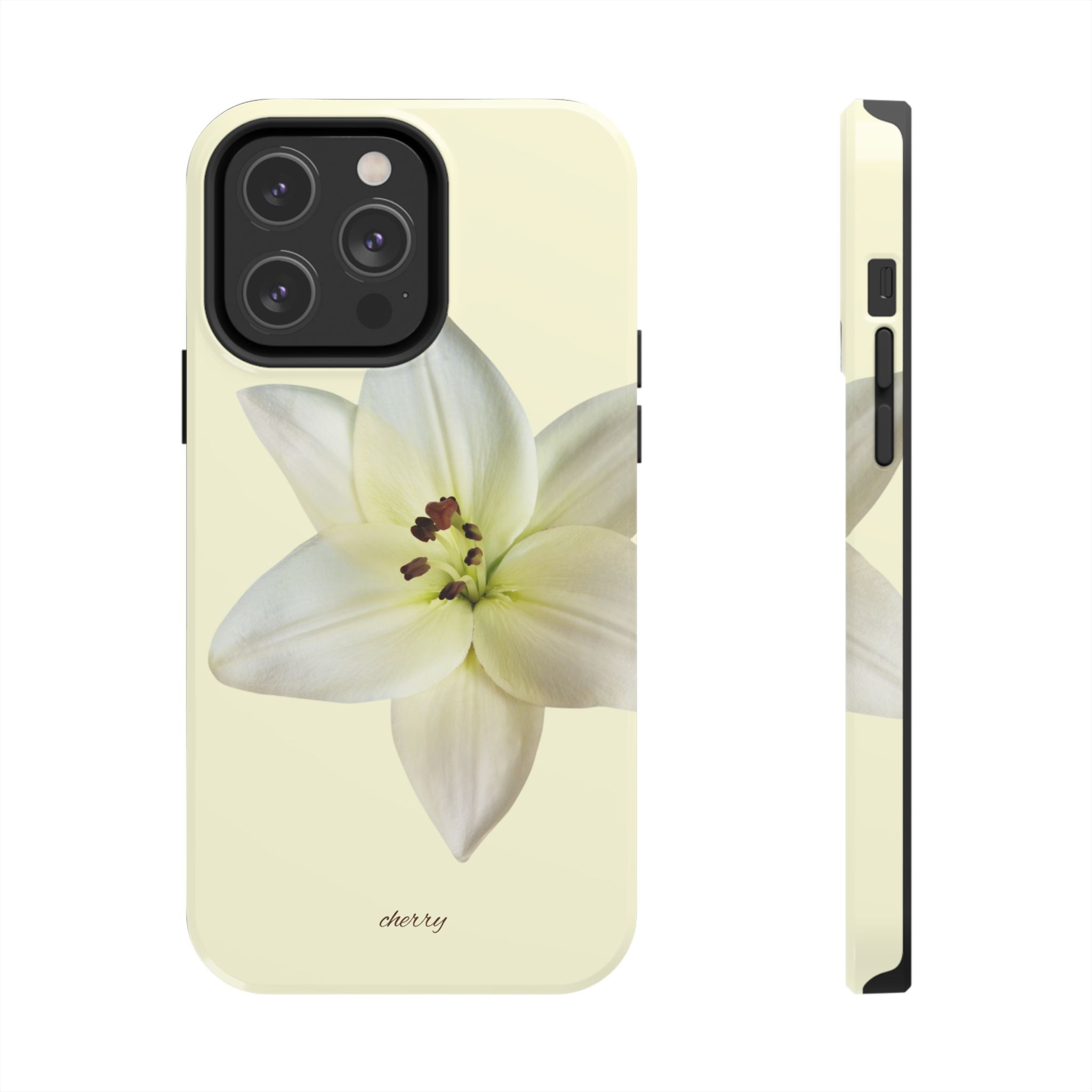 Ivory Lily