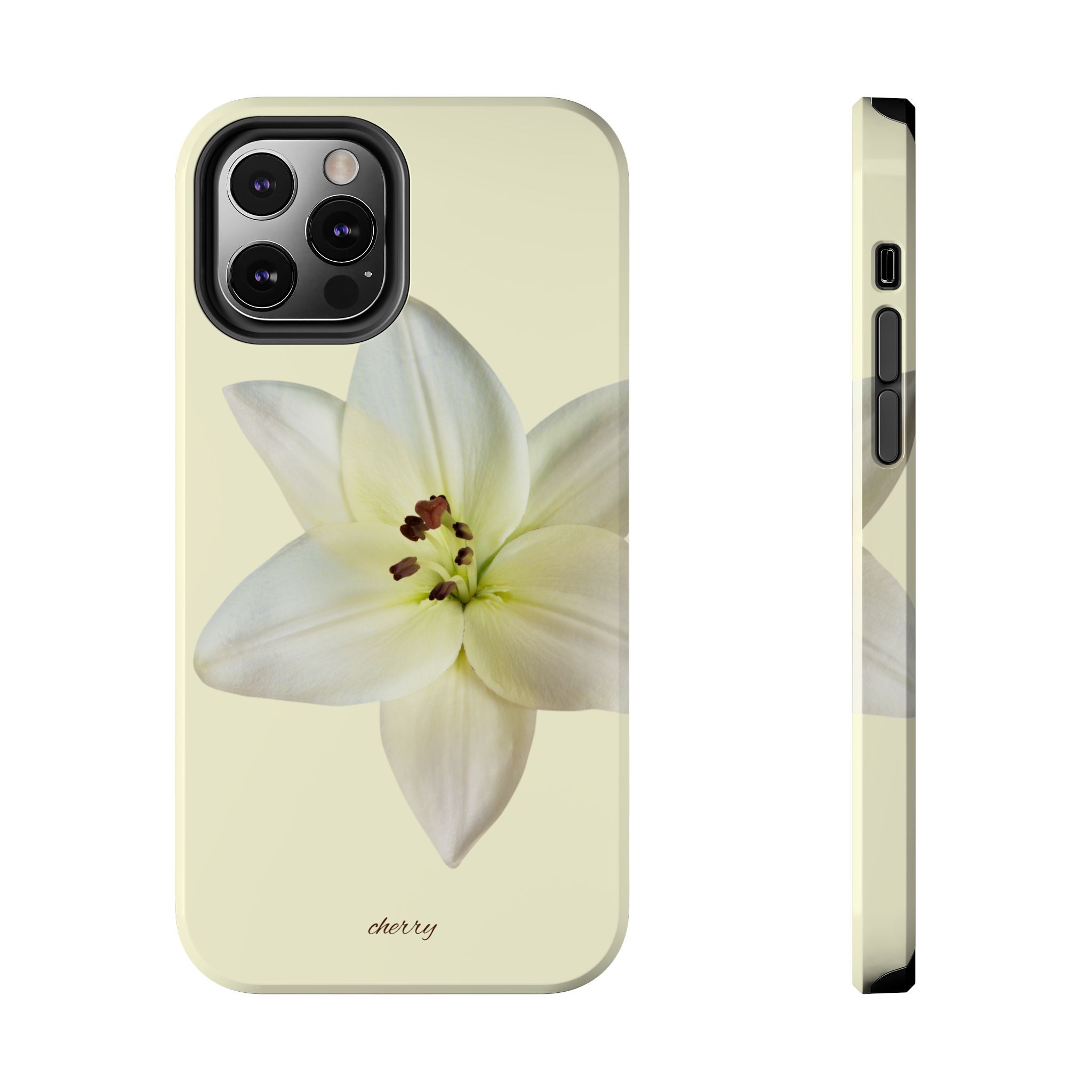 Ivory Lily