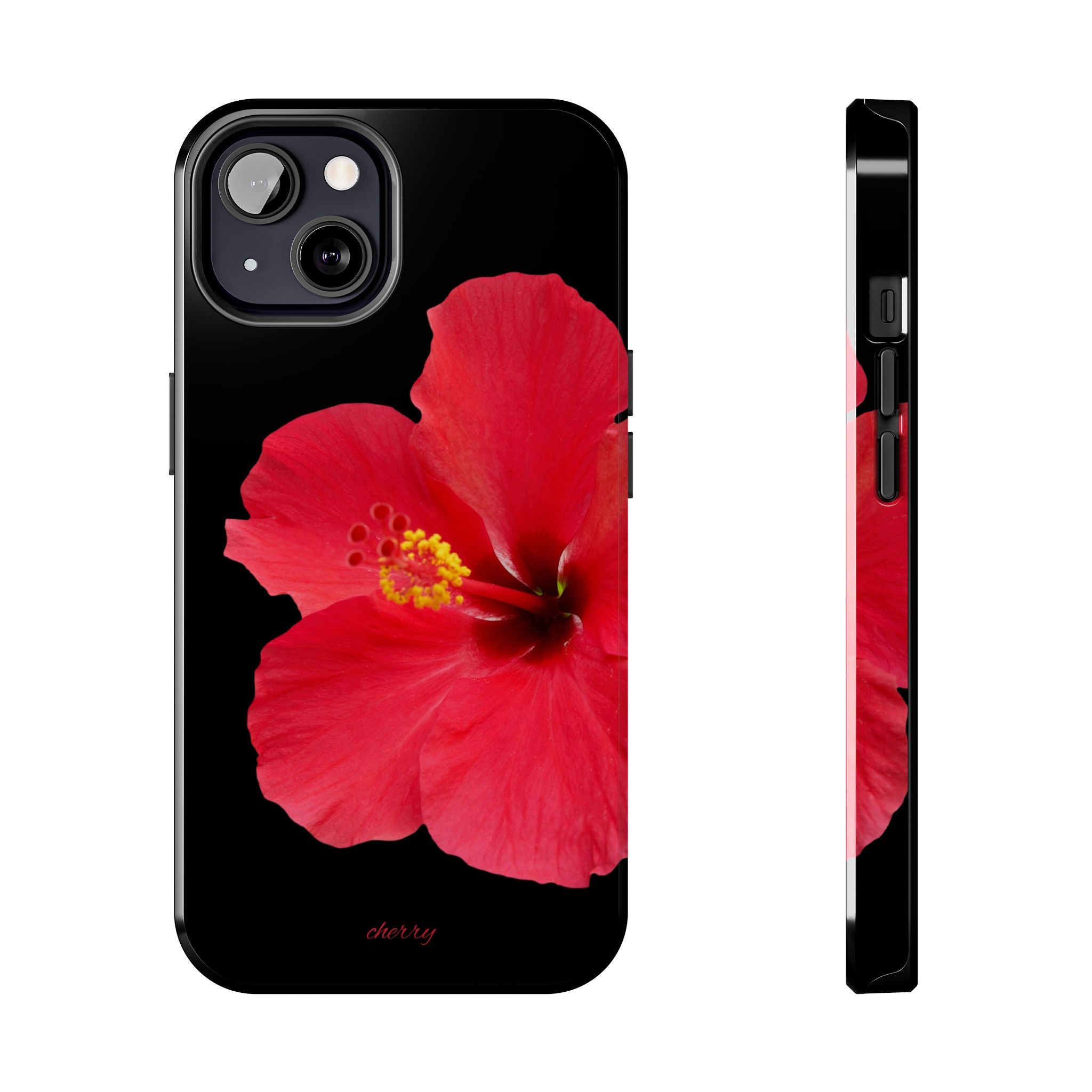 Scarlet Hibiscus
